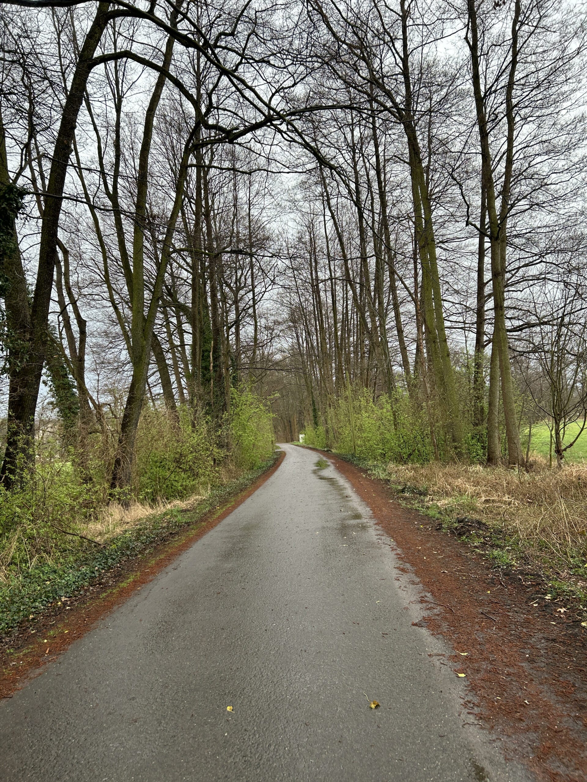 Man hört hier so viele Vögel, echt toll was es hier alles gibt! Ich bin begeistert.