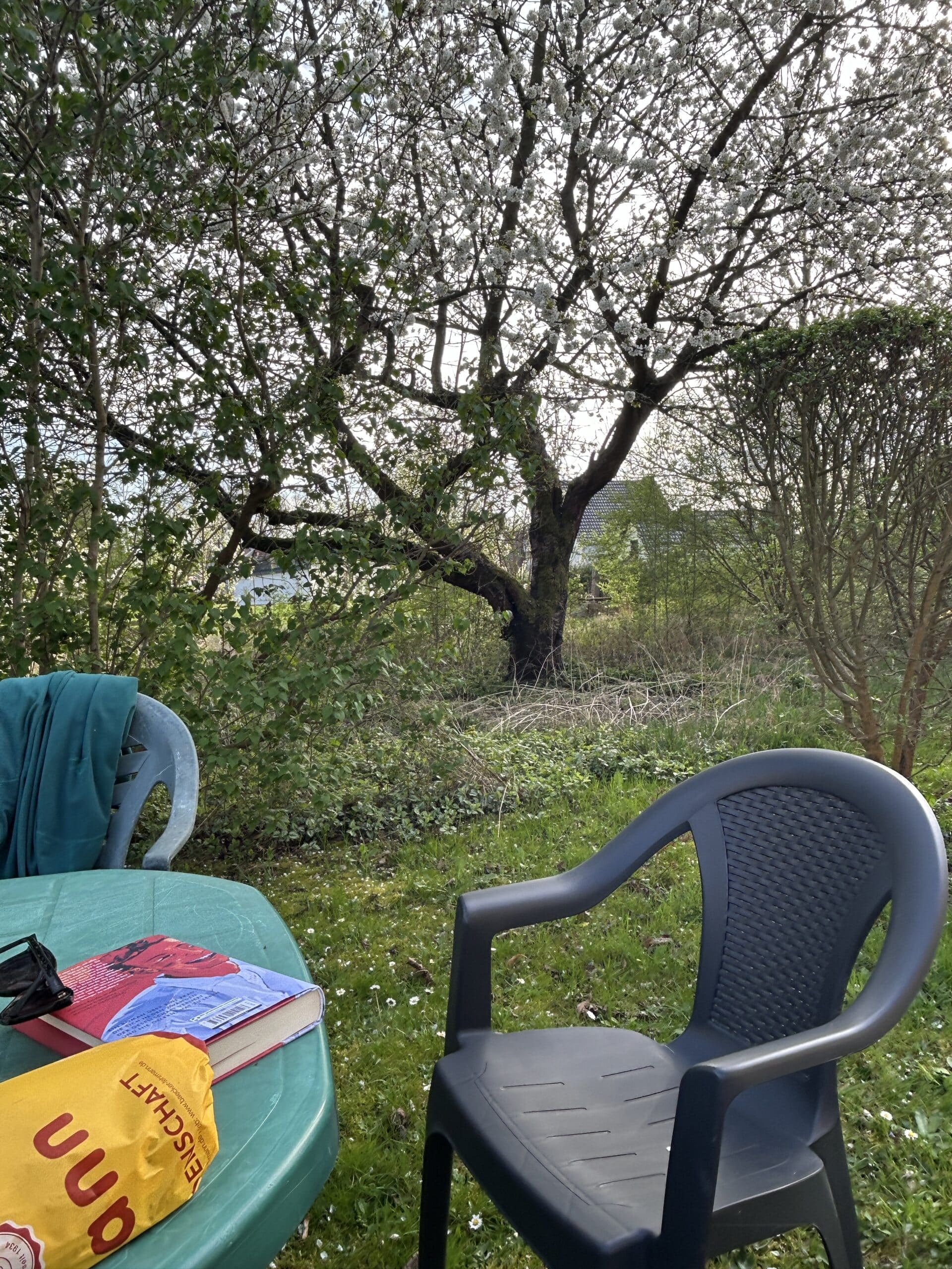 Zum späten Kaffee dann im Garten! Zeit zu Lesen und zu Quatschen.