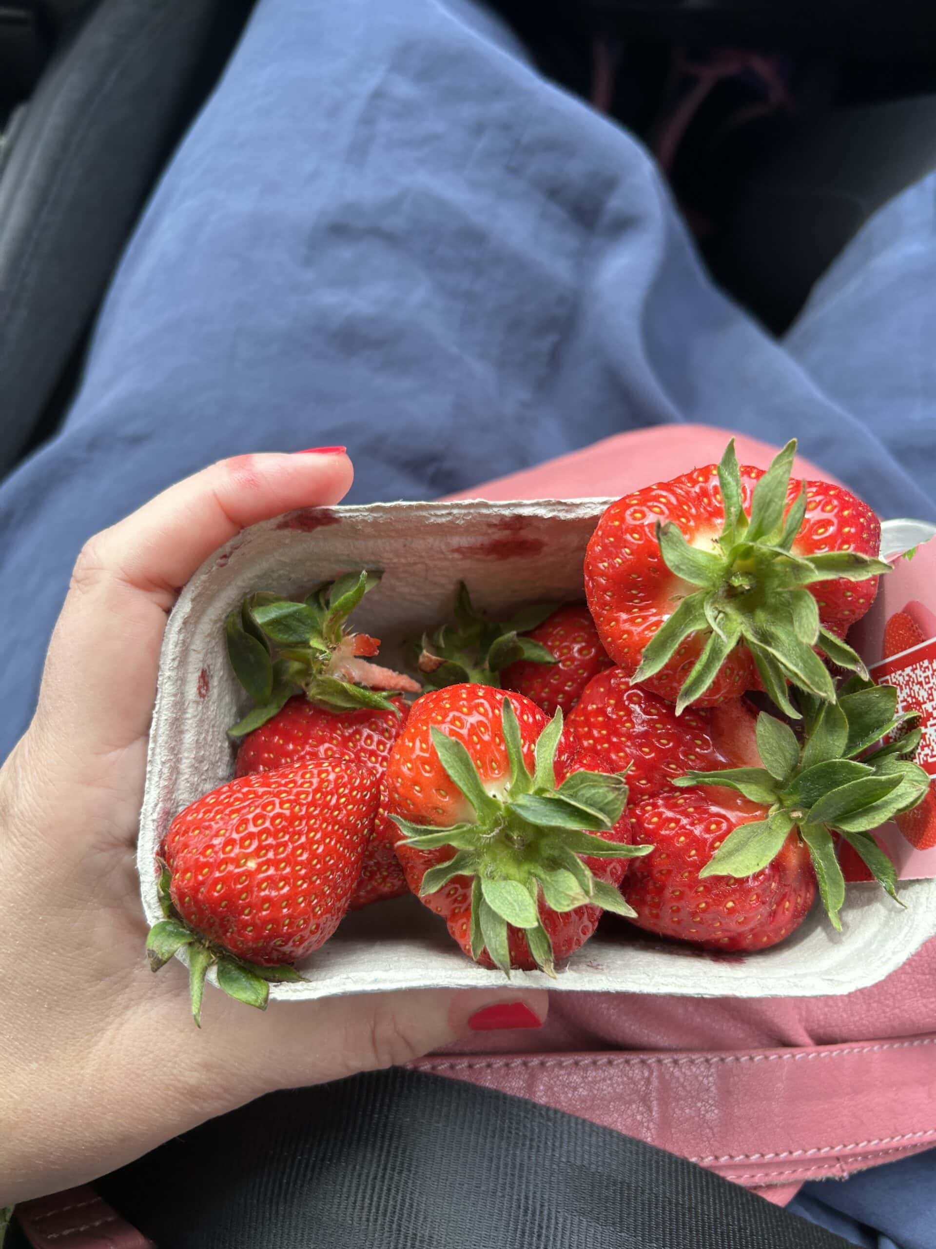 Hallo Sonntag. Wir kaufen heute Vormittag Erdbeeren...