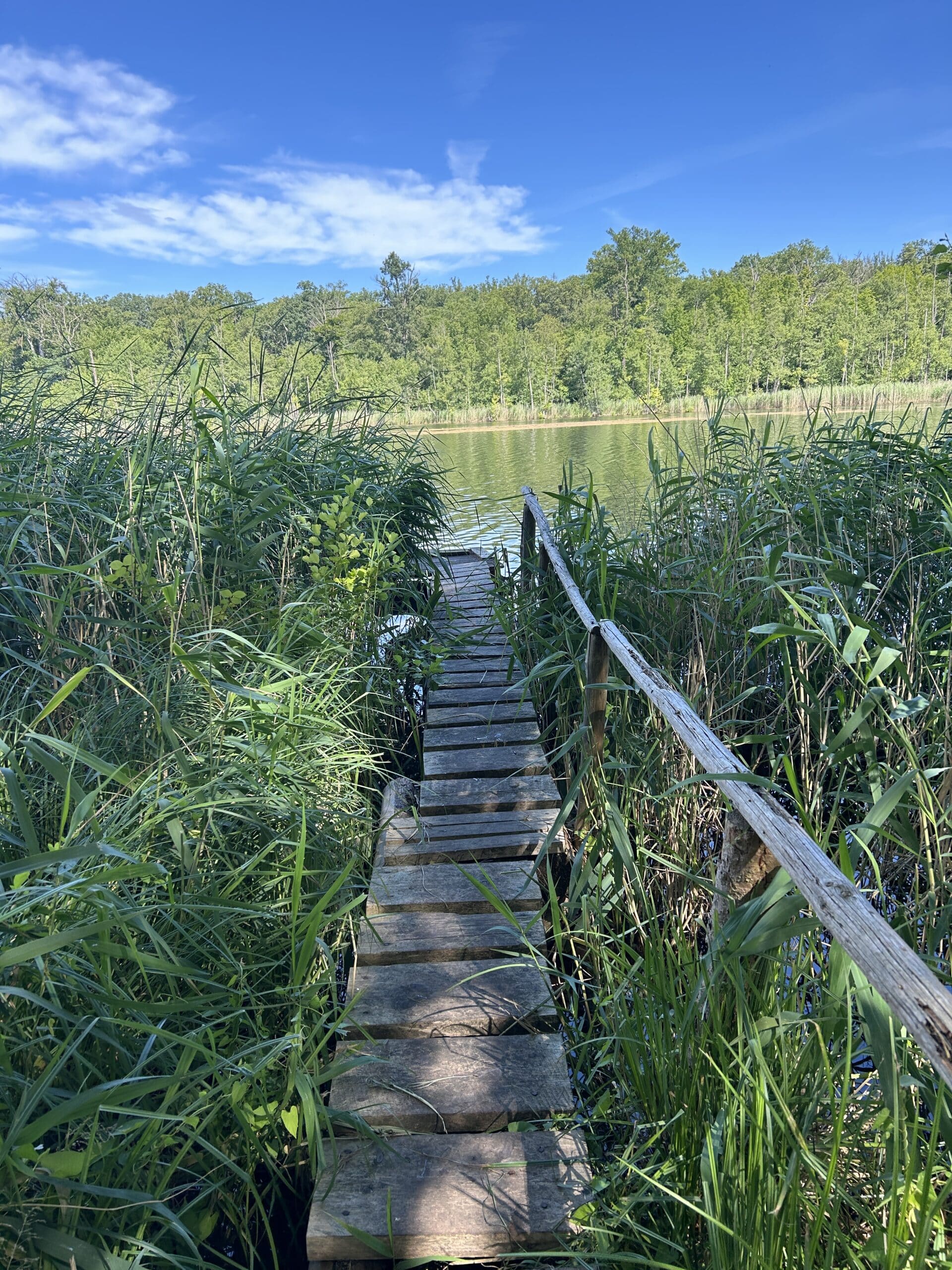Am Vormittag gehen wir eine Runde spazieren am See. Traumhaft ist dieses Brandenburg.