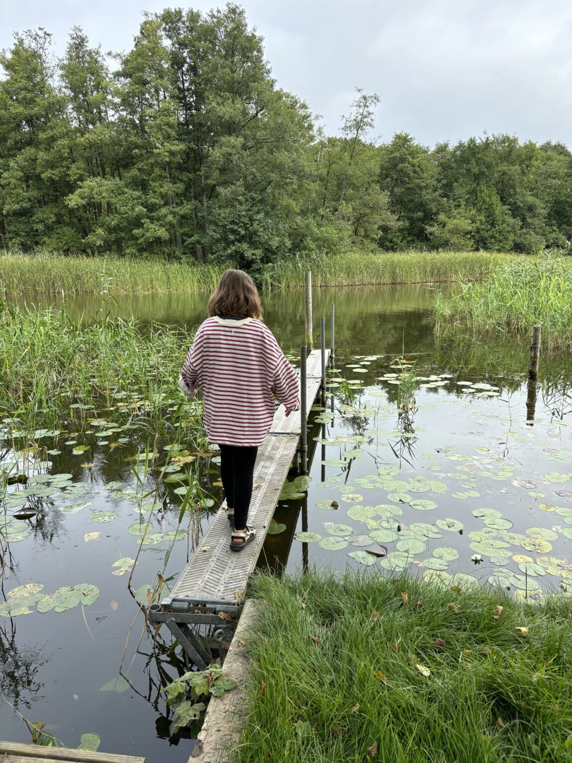 Die Integrität der Kinder