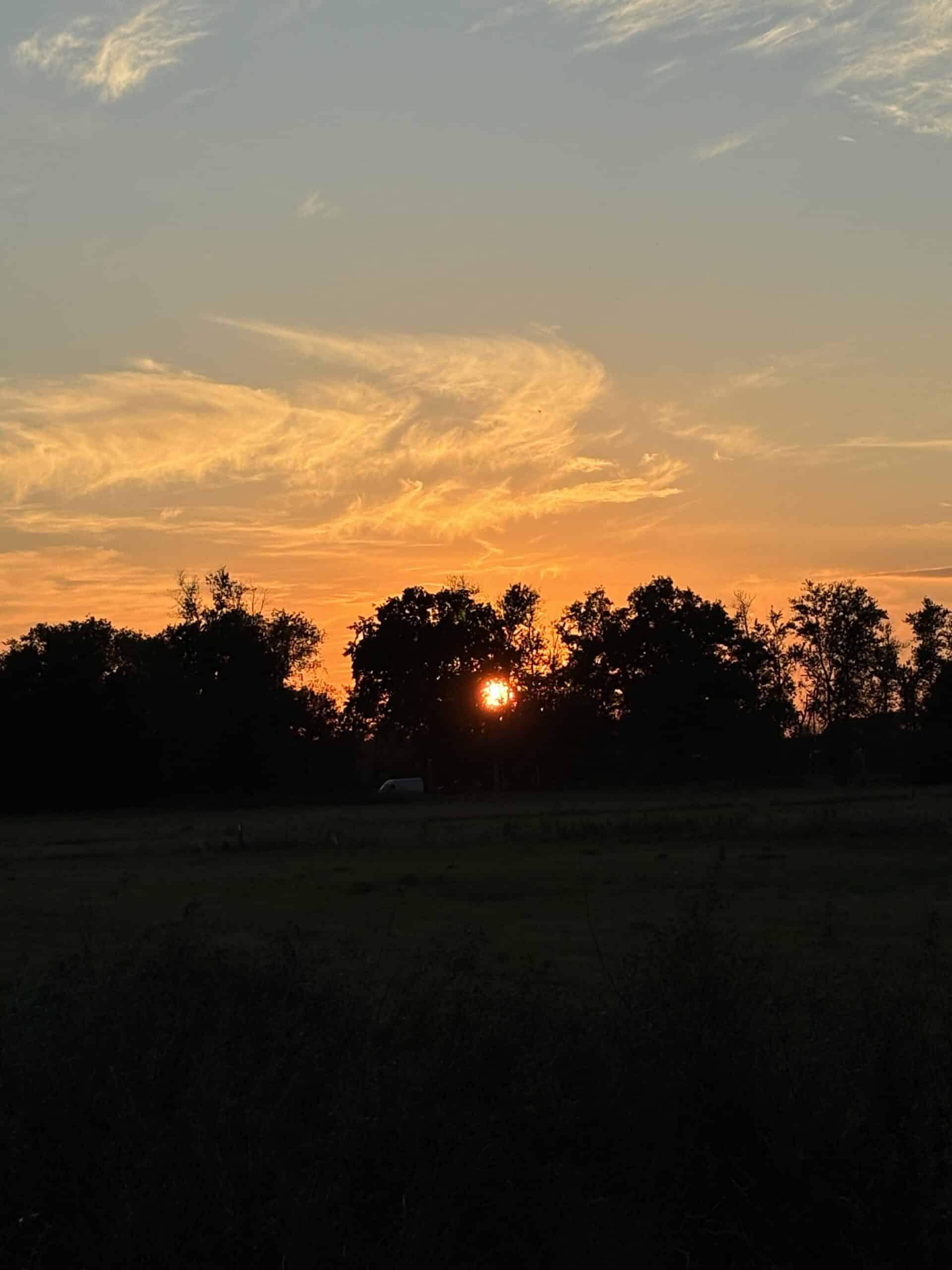 und der Sonnenuntergang ist heute auch wunderschön! Gute Nacht.