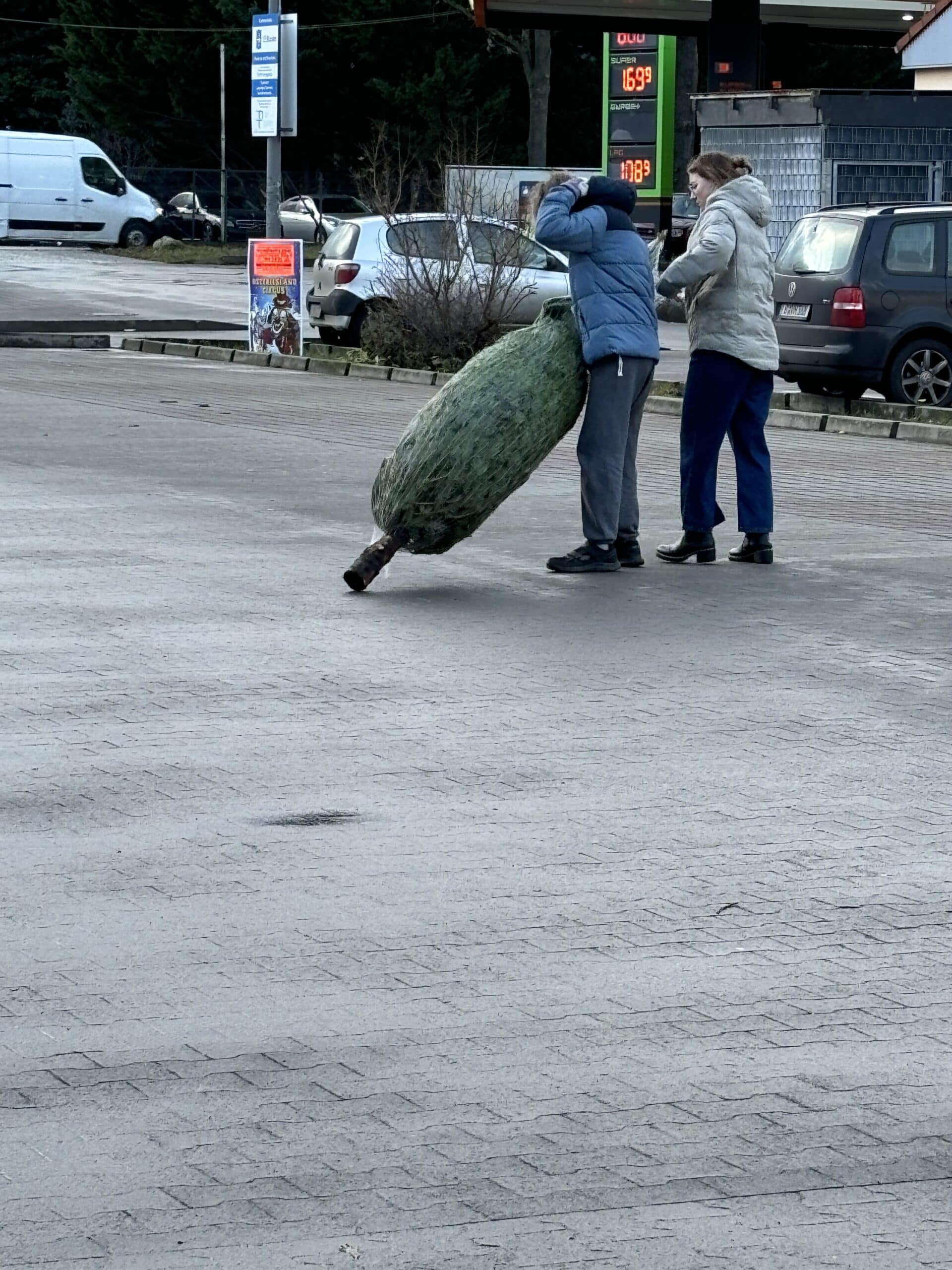 Wir gehen heute den traditionellen Baum kaufen!