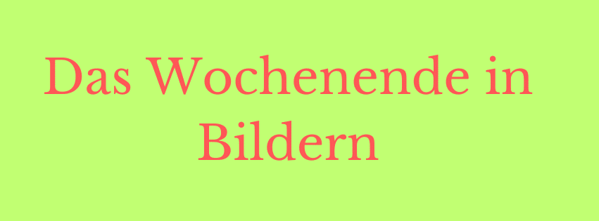 Das Wochenende in Bildern 25/26.01.25 - ihre, seine und EURE Sicht