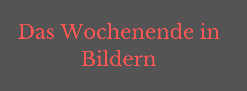 Das Wochenende in Bildern 11/12. Januar 2025 - Ihre, seine und EURE Sicht