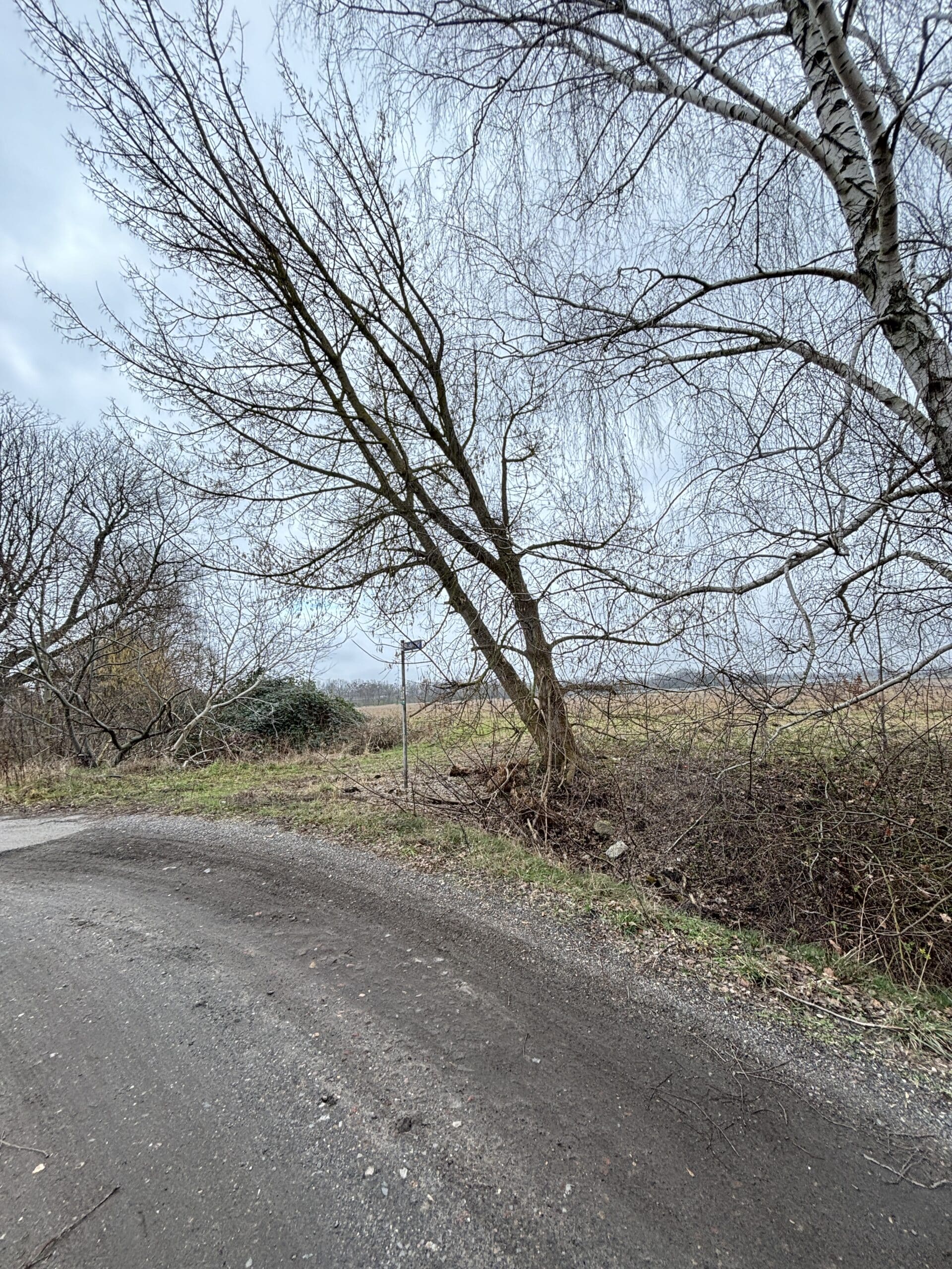 Danach gehen wir spazieren.