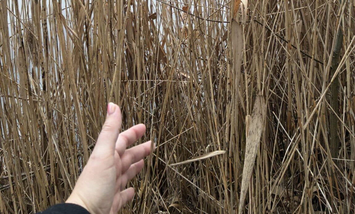 Der See ist heute wunderschön. Es geht eine Runde raus...