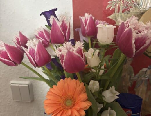 Wir besuchen zwei Feiern. Eine zum Mittag und eine am Nachmittag. Weiß jemand wie diese Tulpen heißen?