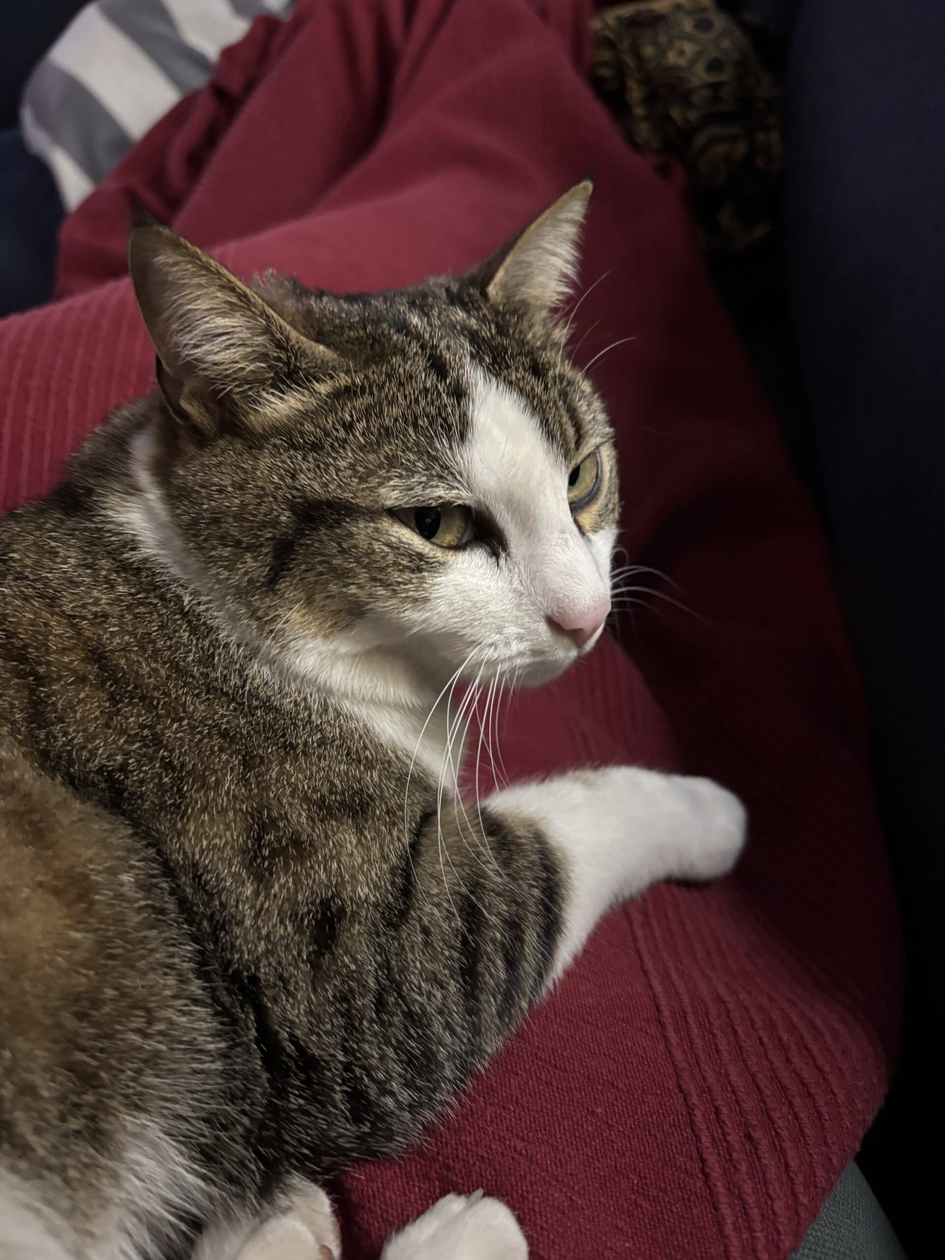 Am Abend sinke ich aufs Sofa. Ich bin wirklich richtig erschöpft und gehe früh ins Bett.