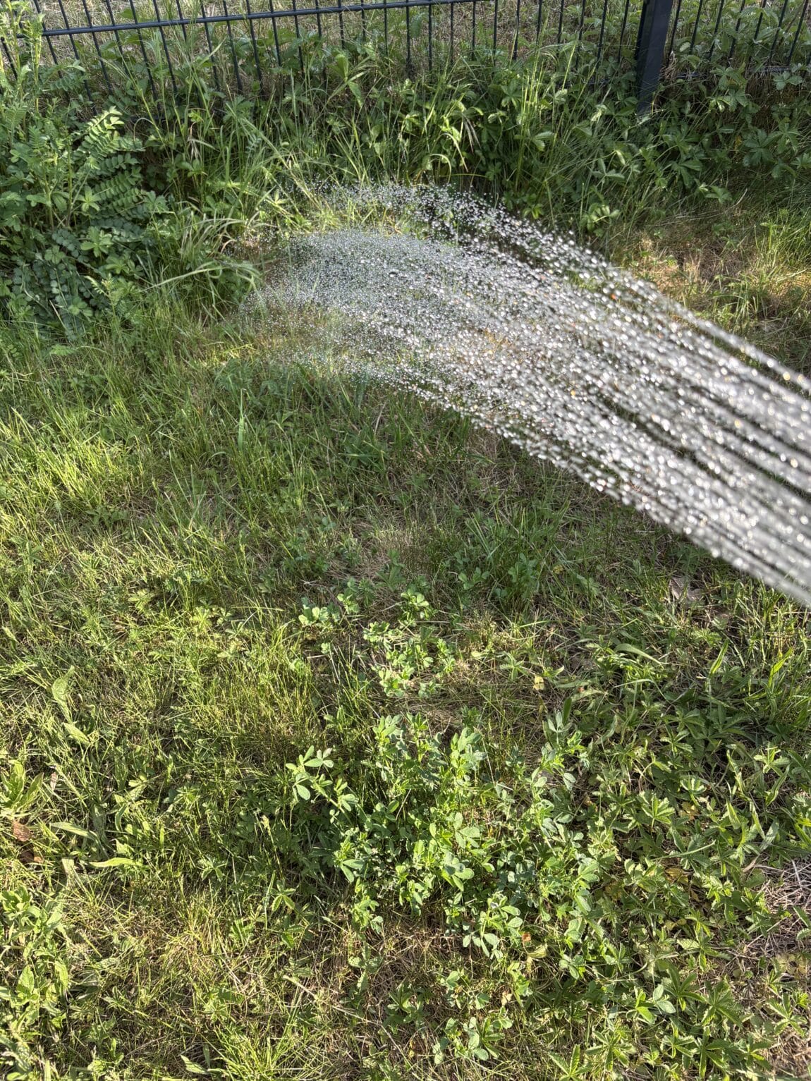 #10 Feierabend und ich gieße den Garten.