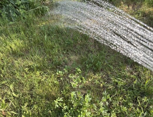 #10 Feierabend und ich gieße den Garten.