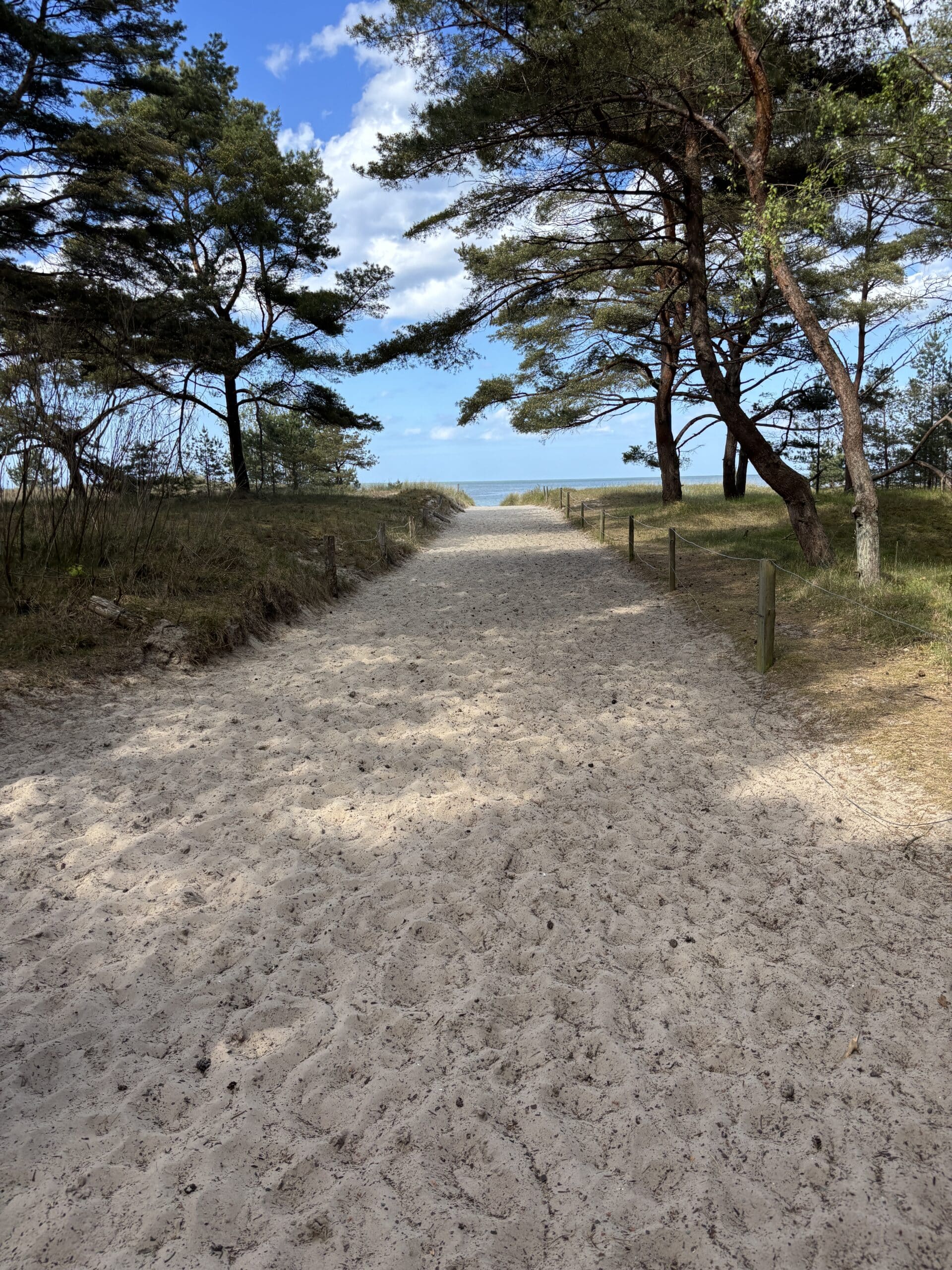Am Nachmittag geht es an den Strand für uns, eine Person geht sogar ins Wasser (ich nicht).
