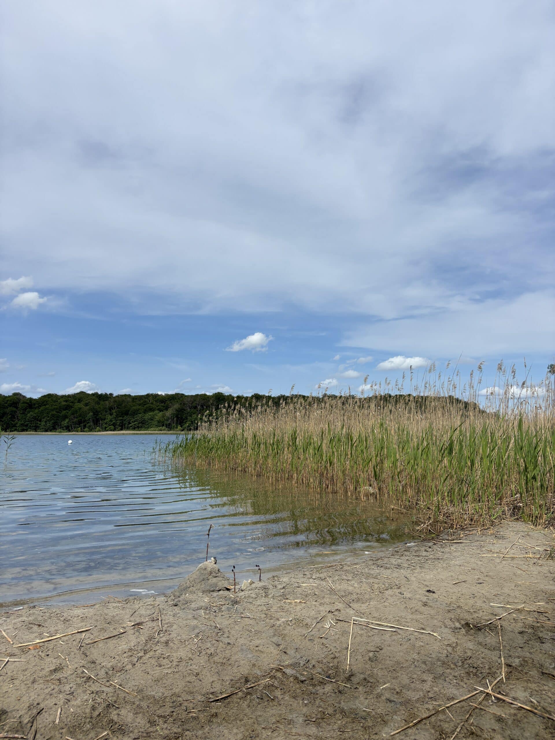 Dort geht es an den See und auch in den See. Ich bin etwas stolz auf uns!