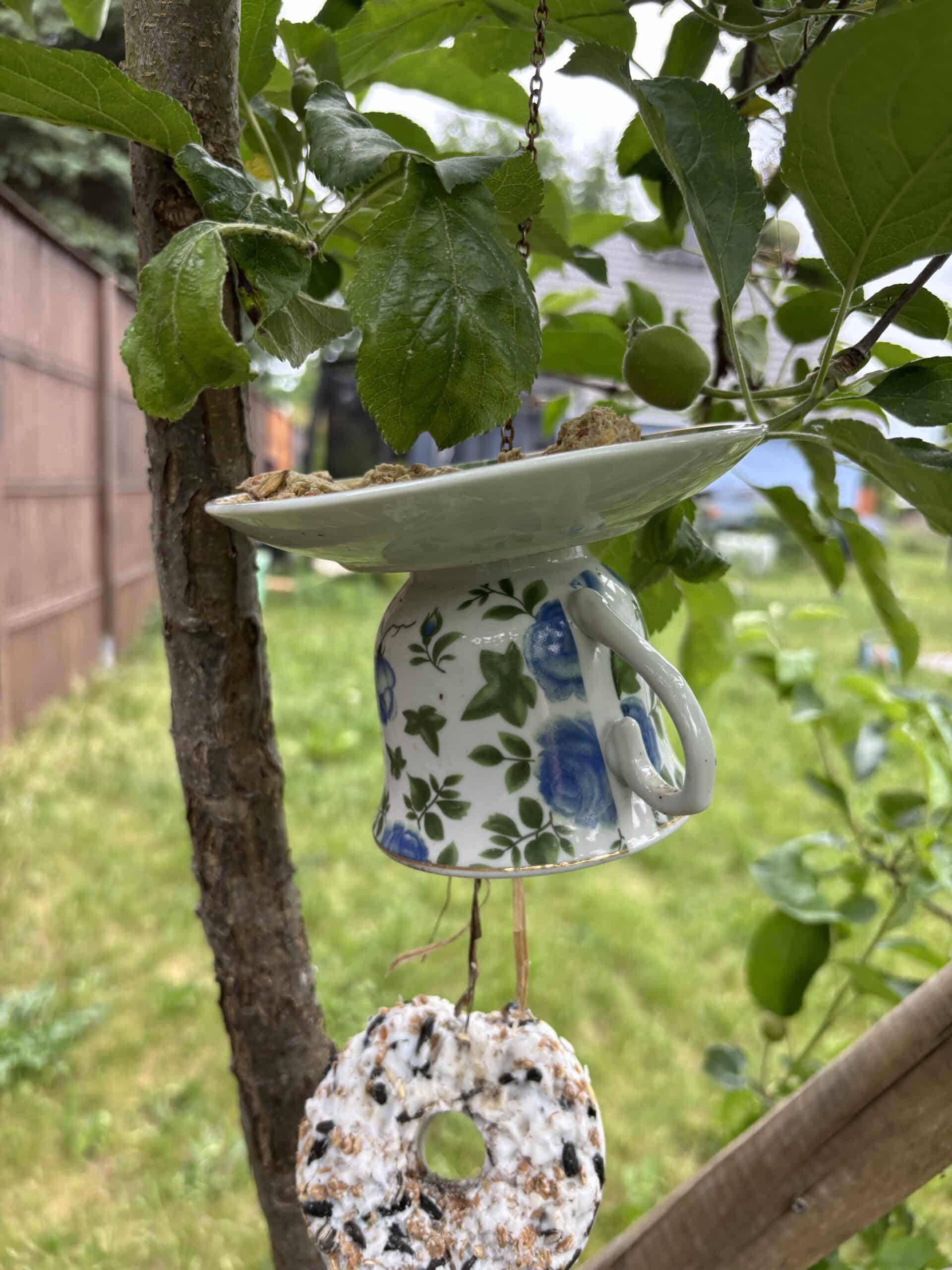 Zuhause dann mal schauen was noch übrig ist vom Futter im Garten. Winterfutter ist wirklich out.
