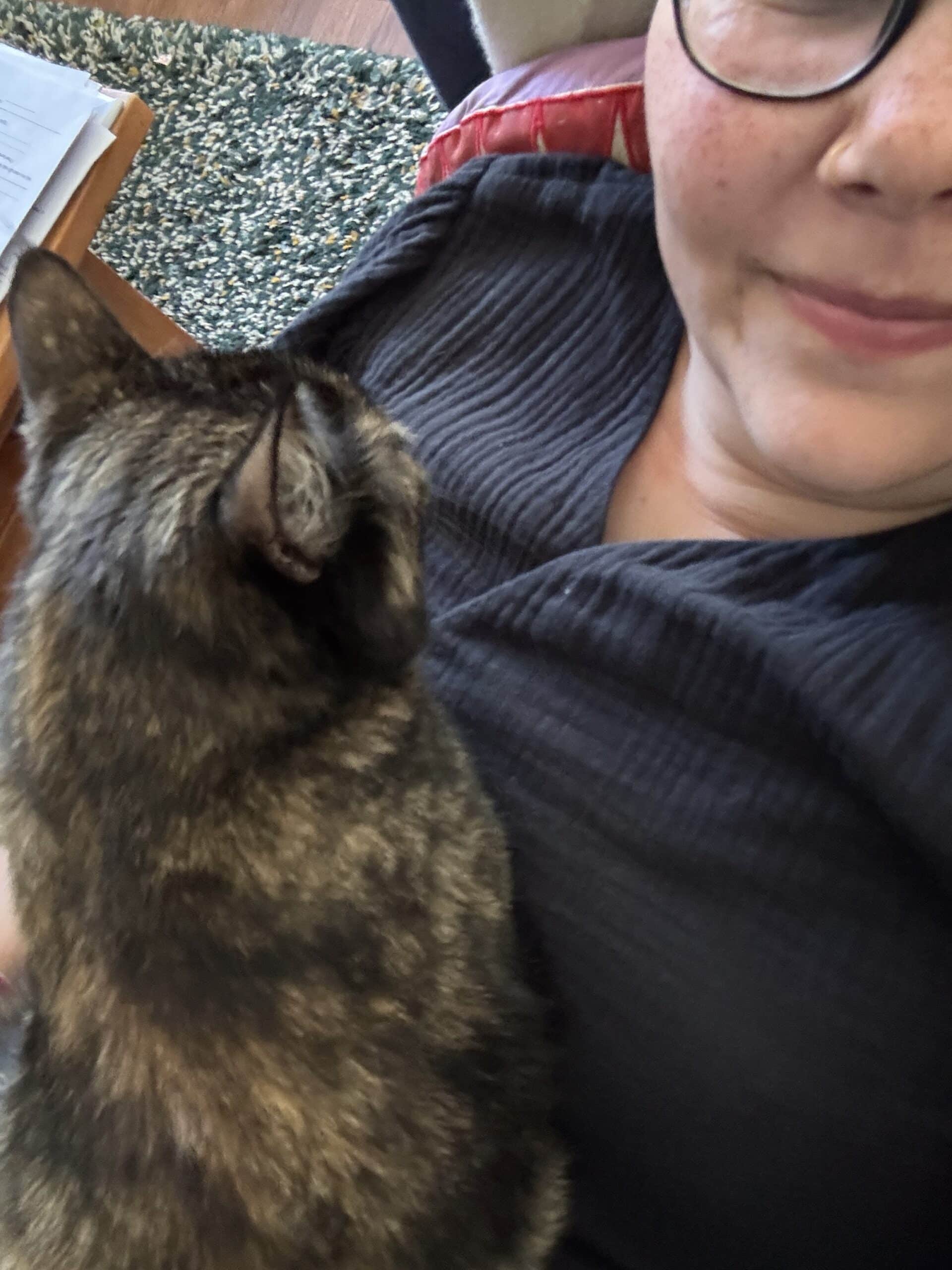 #12 zum Abend wird mit Katze gekuschelt.