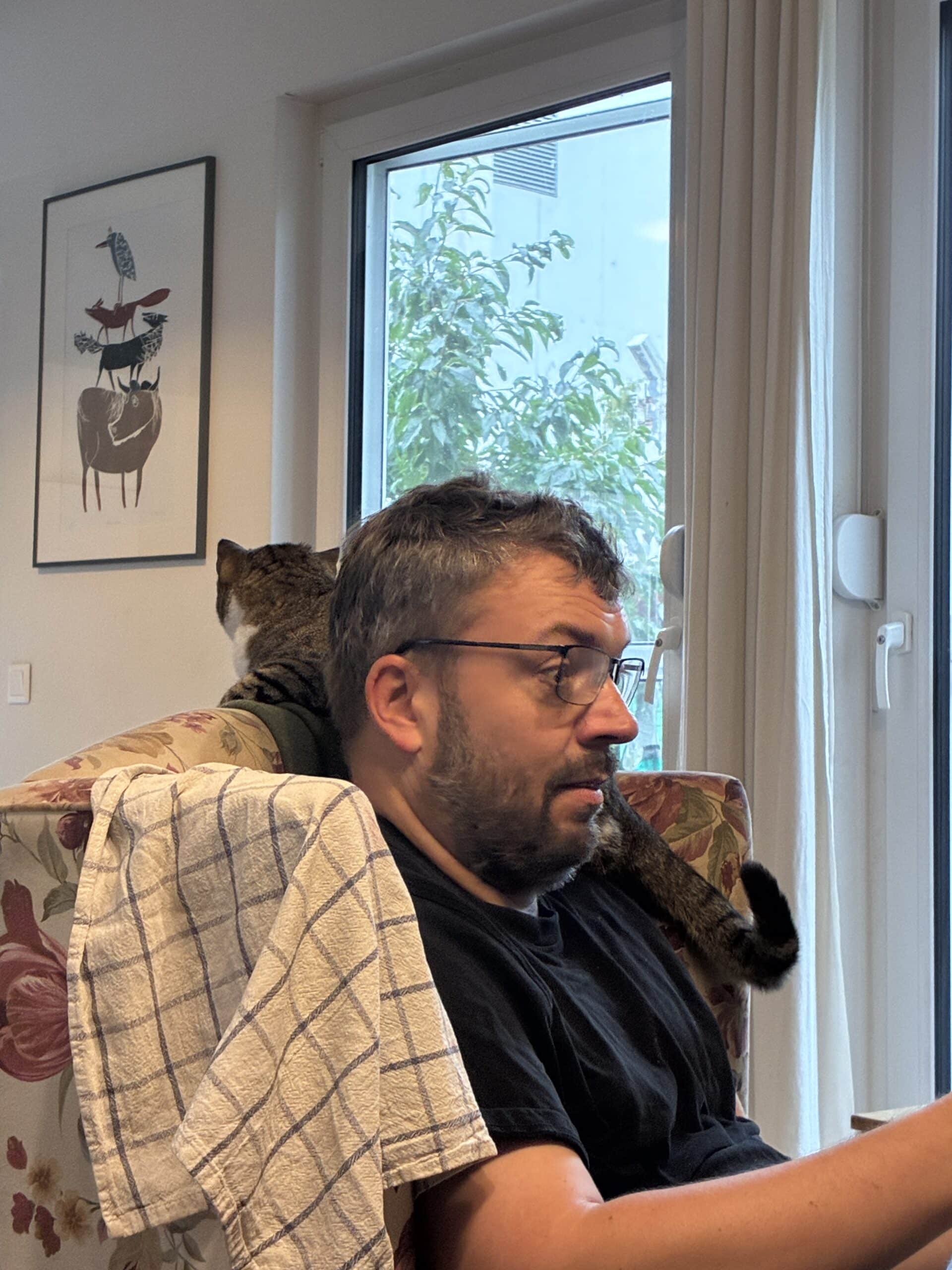 Die Katze macht es sich gemütlich am Mittag auf der Schulter von Konsti.