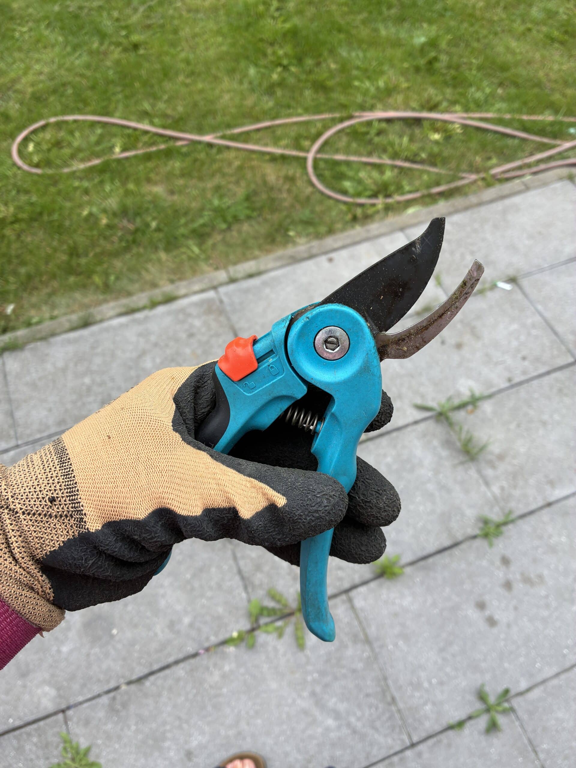 Hallo Samstag. Ich starte mit Gartenarbeit.