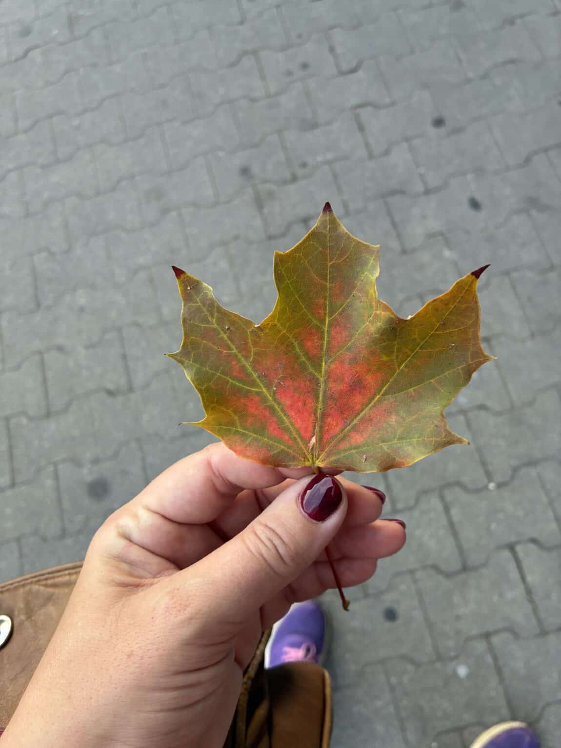 Vom Ausflug mit den Kindern gibt es kein Bild, aber soviel: Ich war viel unterwegs und die Kinder haben Nudeln mit heißem Wasser aufgegossen gegessen.