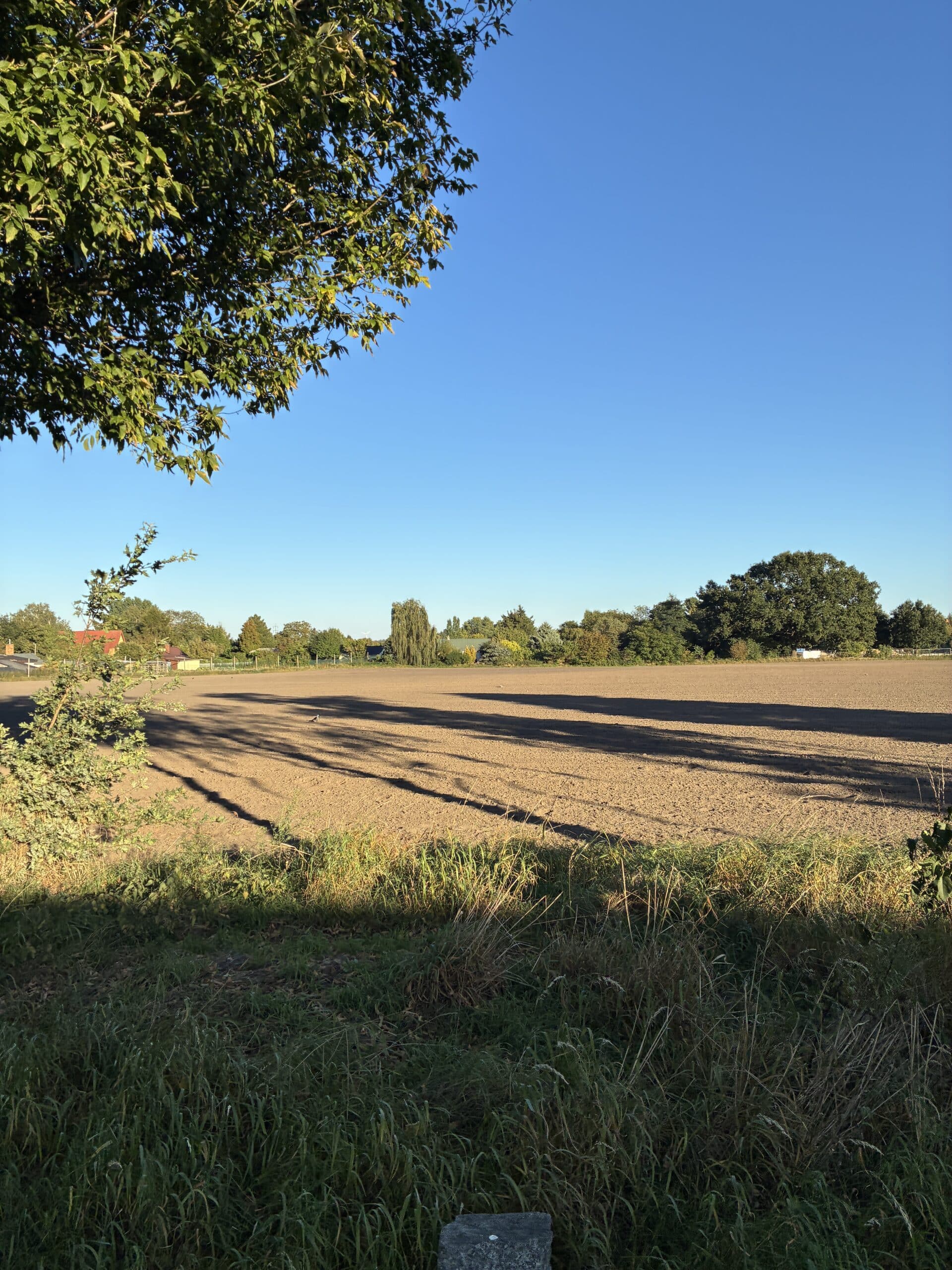 um dann noch einen Spaziergang am Nachmittag zu laufen.