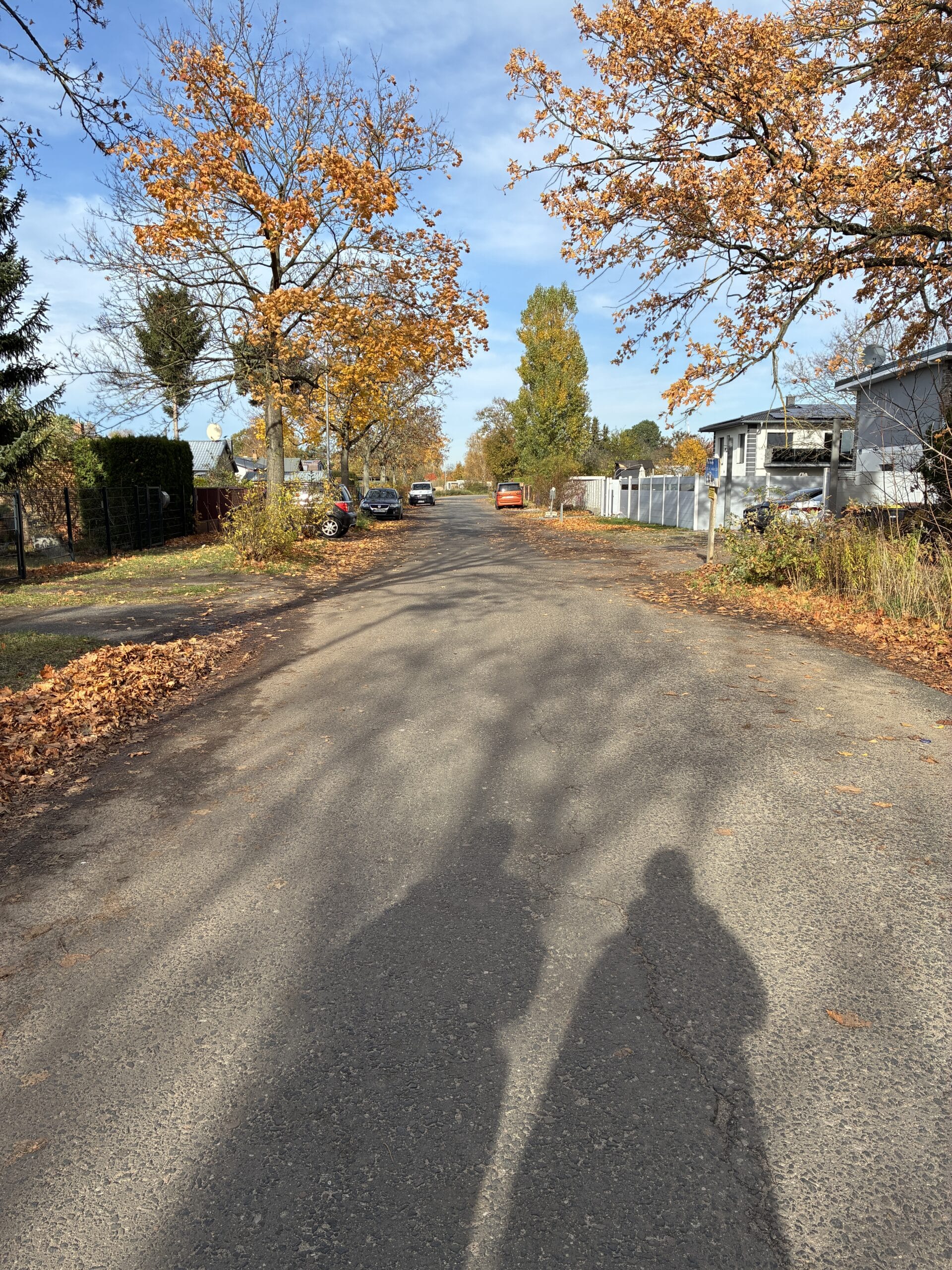 Hallo Samstag. Wir beginnen den Tag mit einem Spaziergang und suchen unsere Katze.