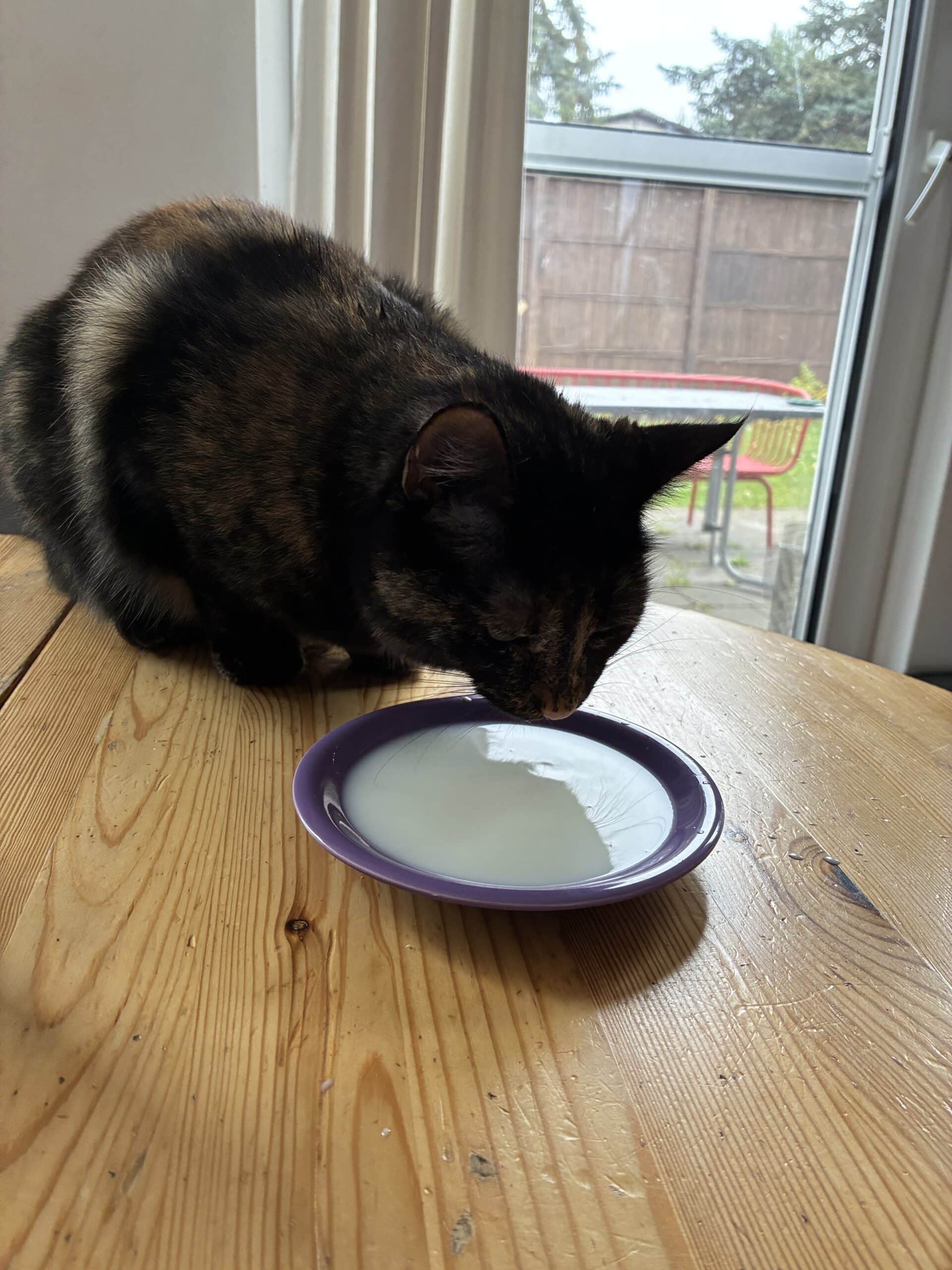 Ab heute allein bei uns. Hier weinen alle.