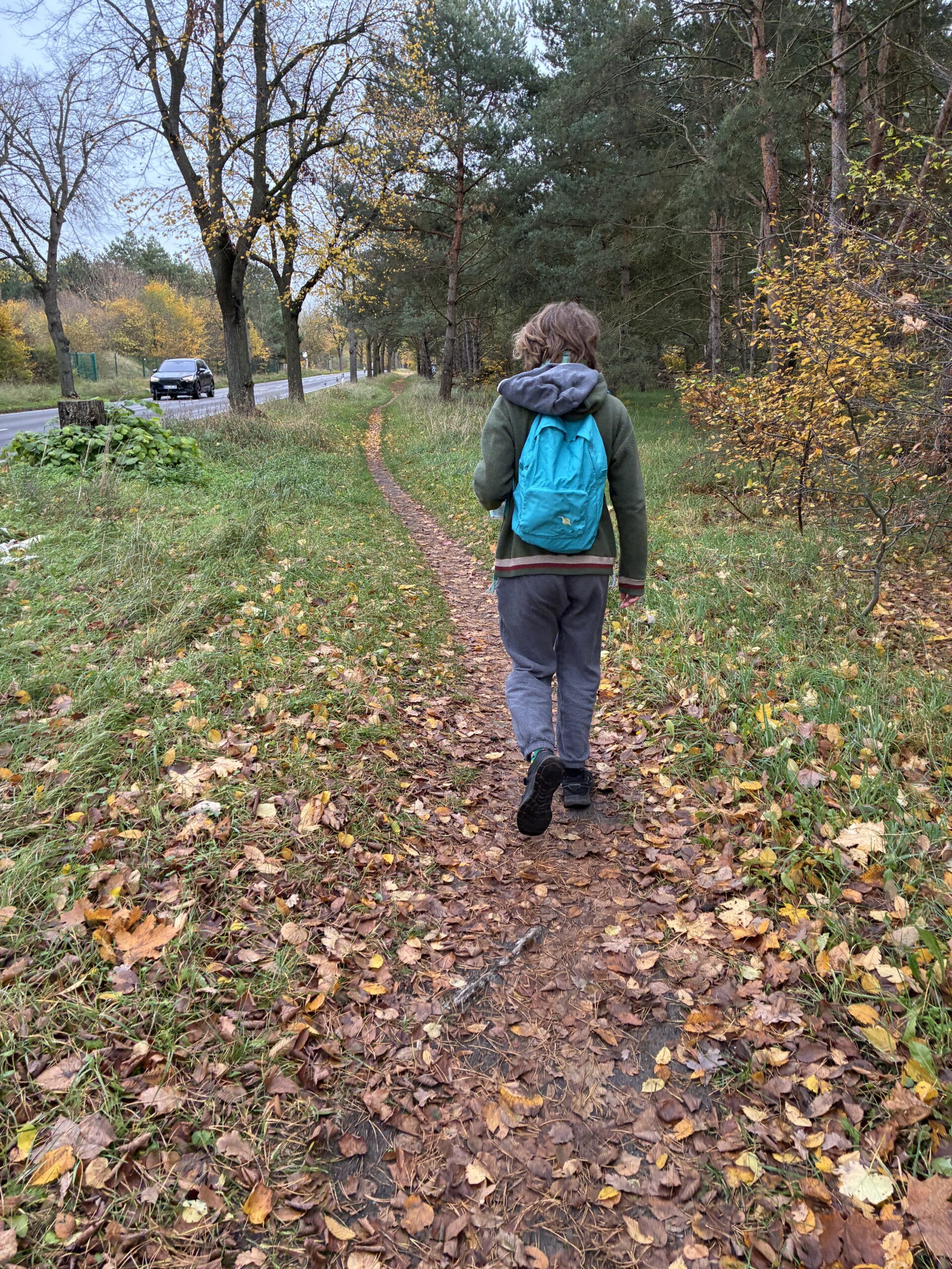 Der Sohn und ich beschließen spazieren zu gehen. Gute 5 km an der Panke entlang.