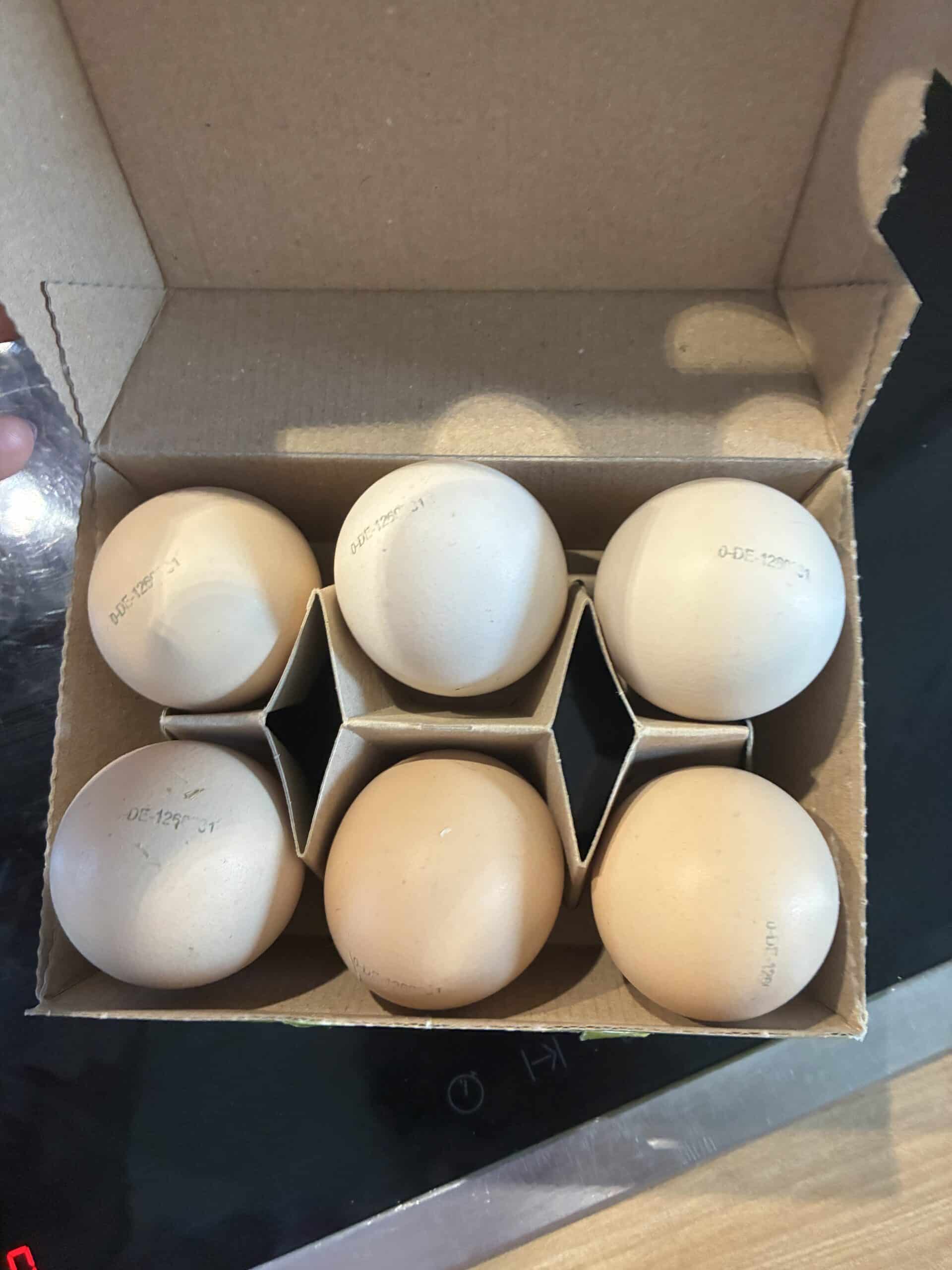 Erstmal ein schönes Frühstück heute Morgen.