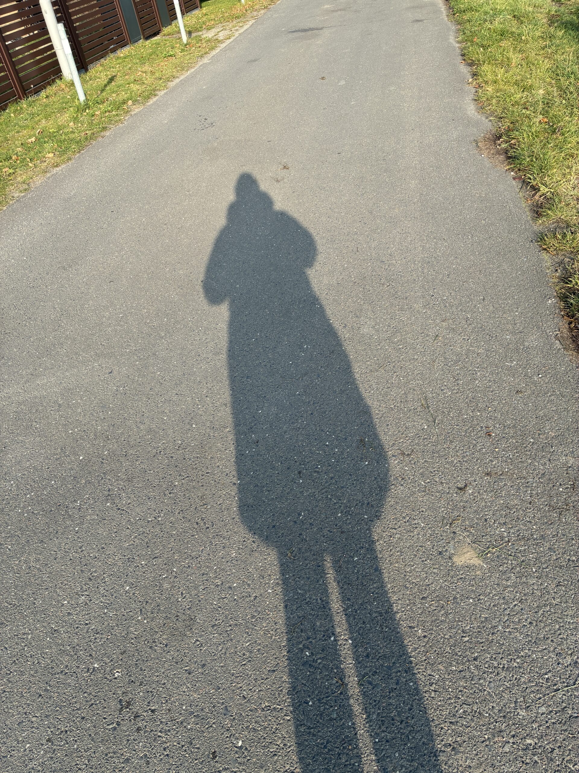 Wir gehen eine Runde spazieren.