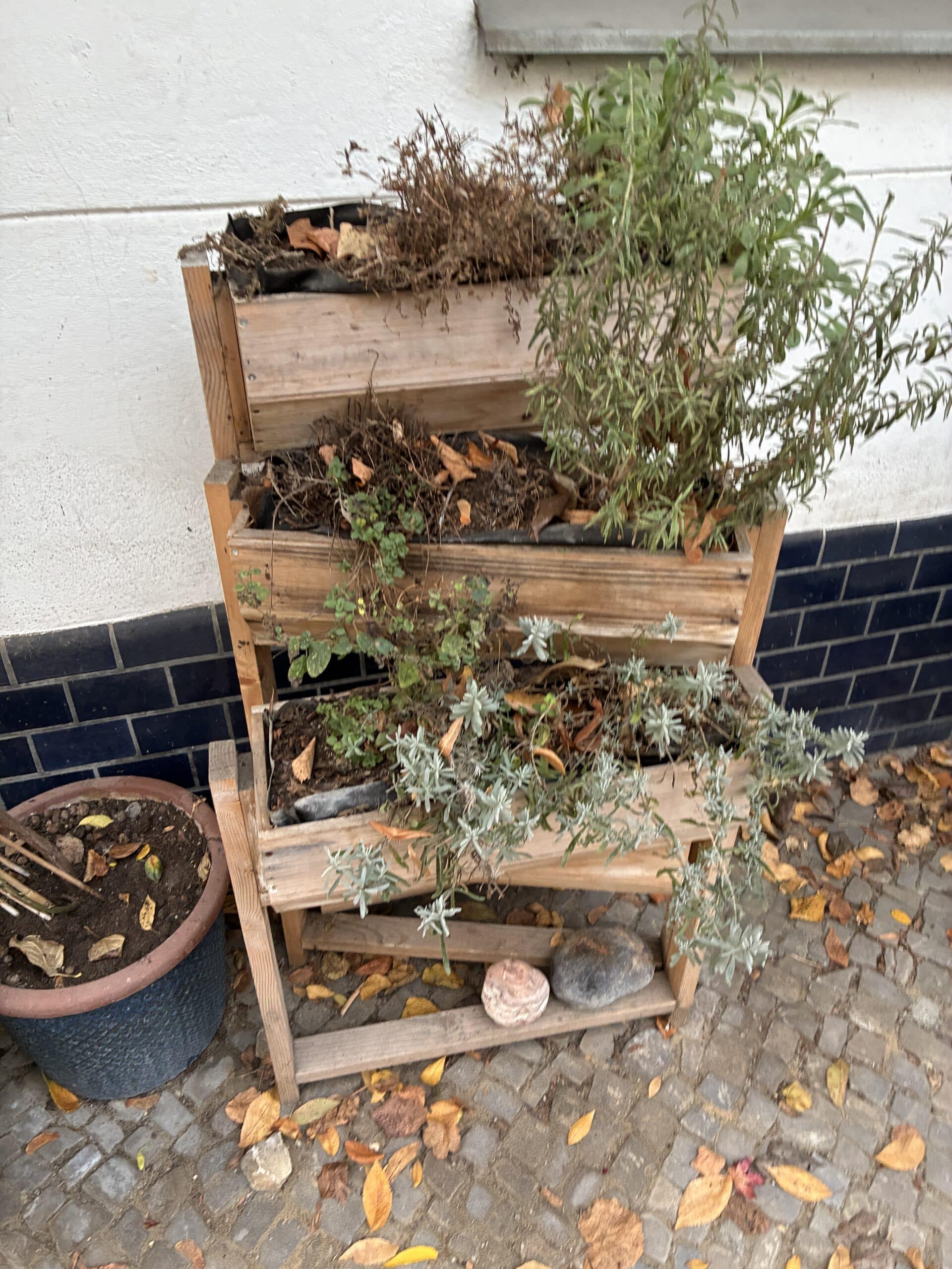 Am Nachmittag fahre ich zur Klangmeditation.