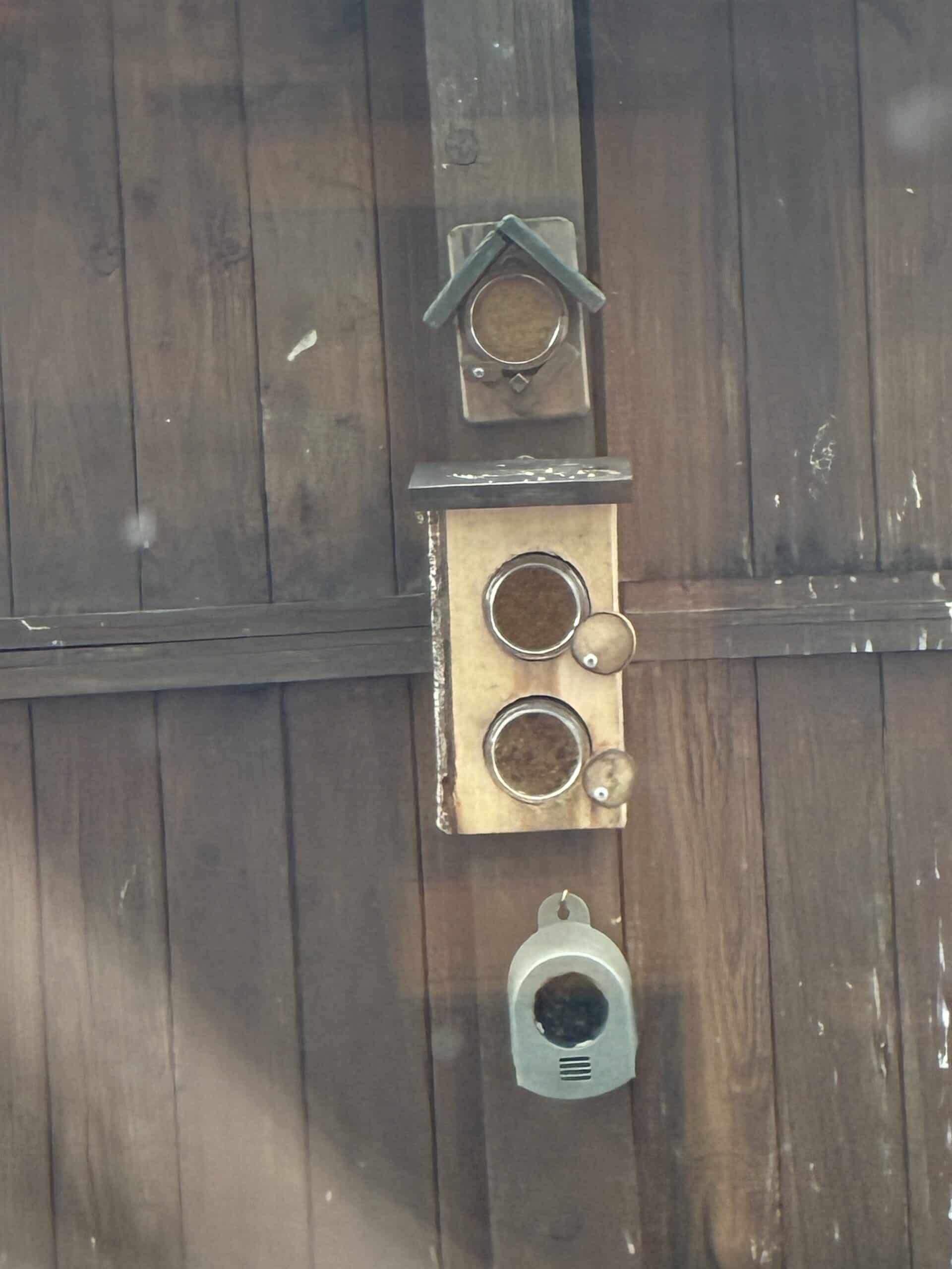 Draußen habe ich neue Futterstellen geschaffen.