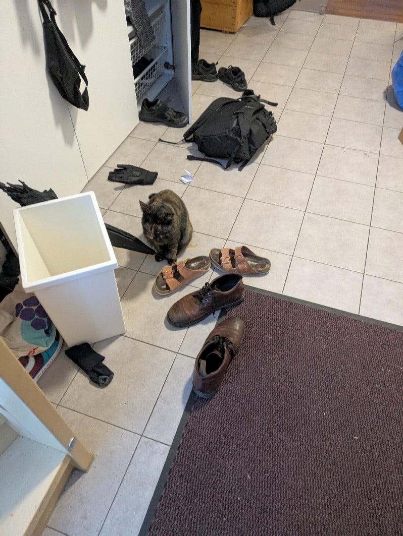 Morgenunordnung, Unordnung, Fußboden