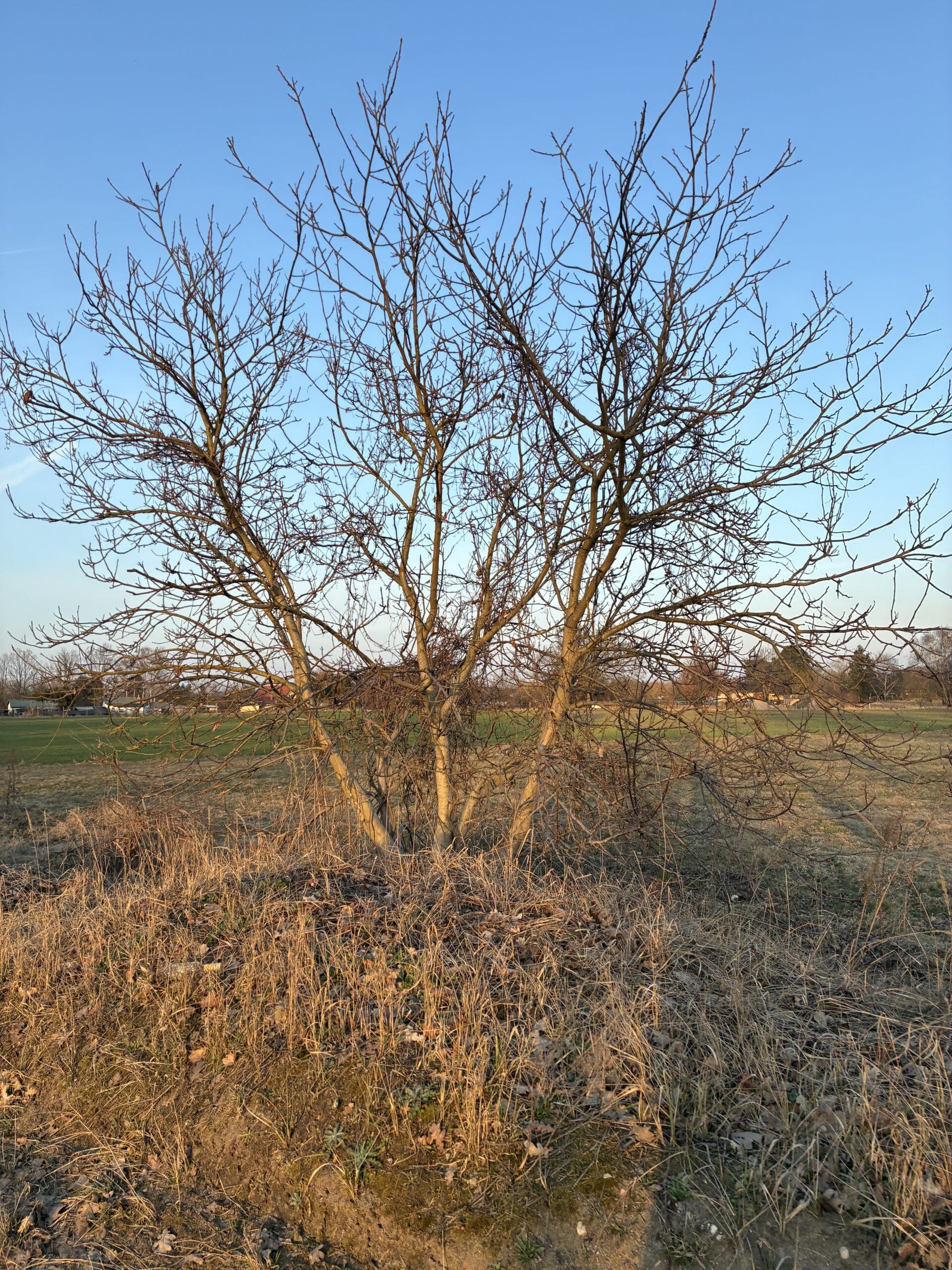 Am Abend noch eine Runde raus spazieren.