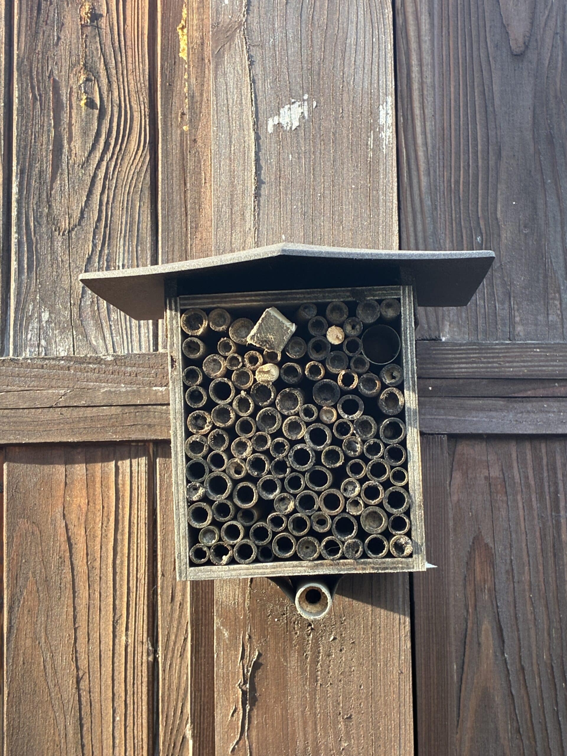 Ich repariere das Bienenhotel.