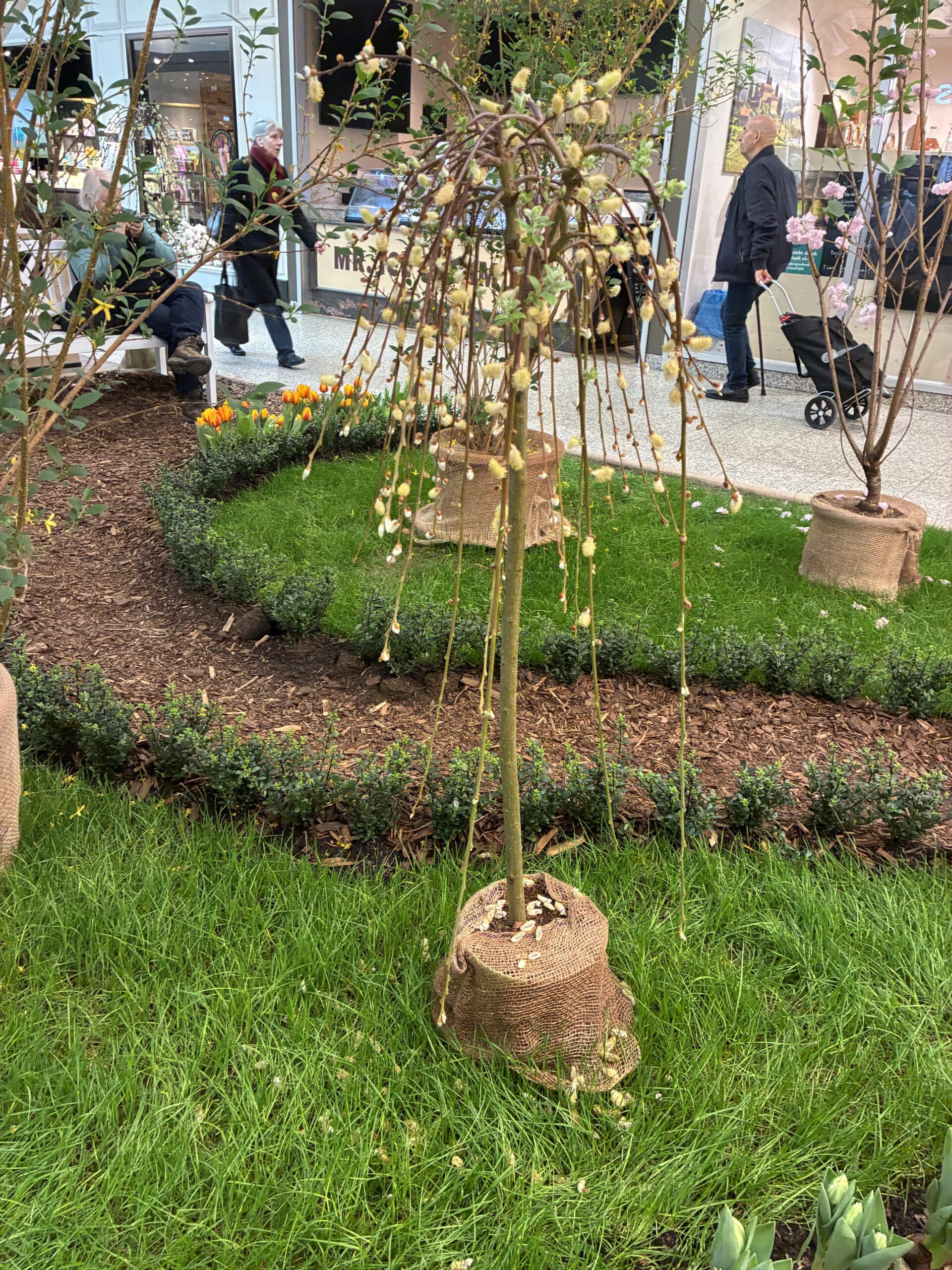#3 Im Rathaus Center ist auch schon richtig Frühling.