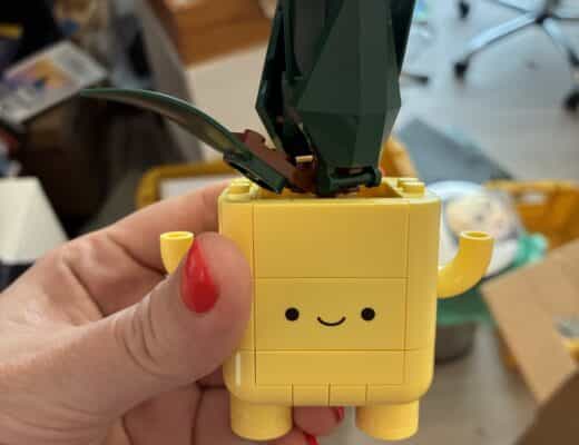 #4 Im Homeoffice danach warten kleine Pflanzen auf mich. Das kranke Kind hat gebaut.