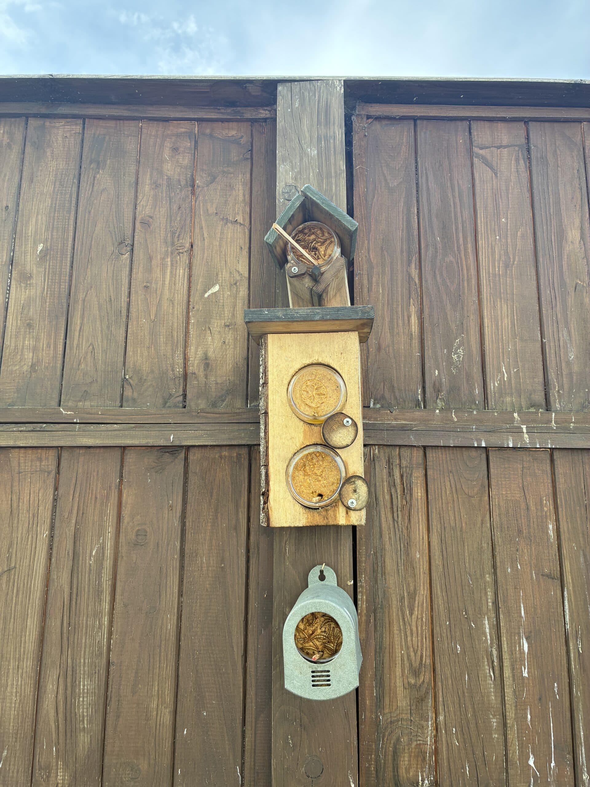 Also auffüllen. Immerhin haben wir gerade viel Nachwuchs im Garten.