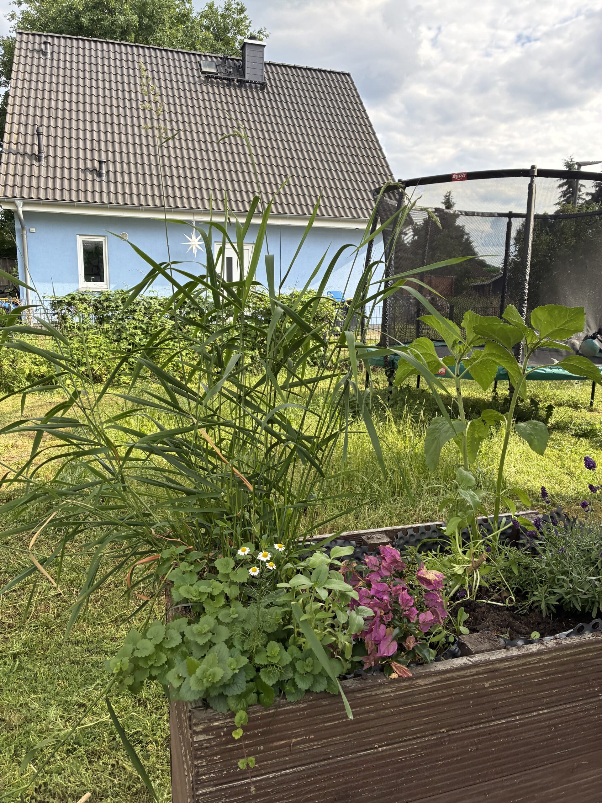 Nach der Gartenarbeit spielen wir dann AZUL mit Besuch. Ich gewinne : )