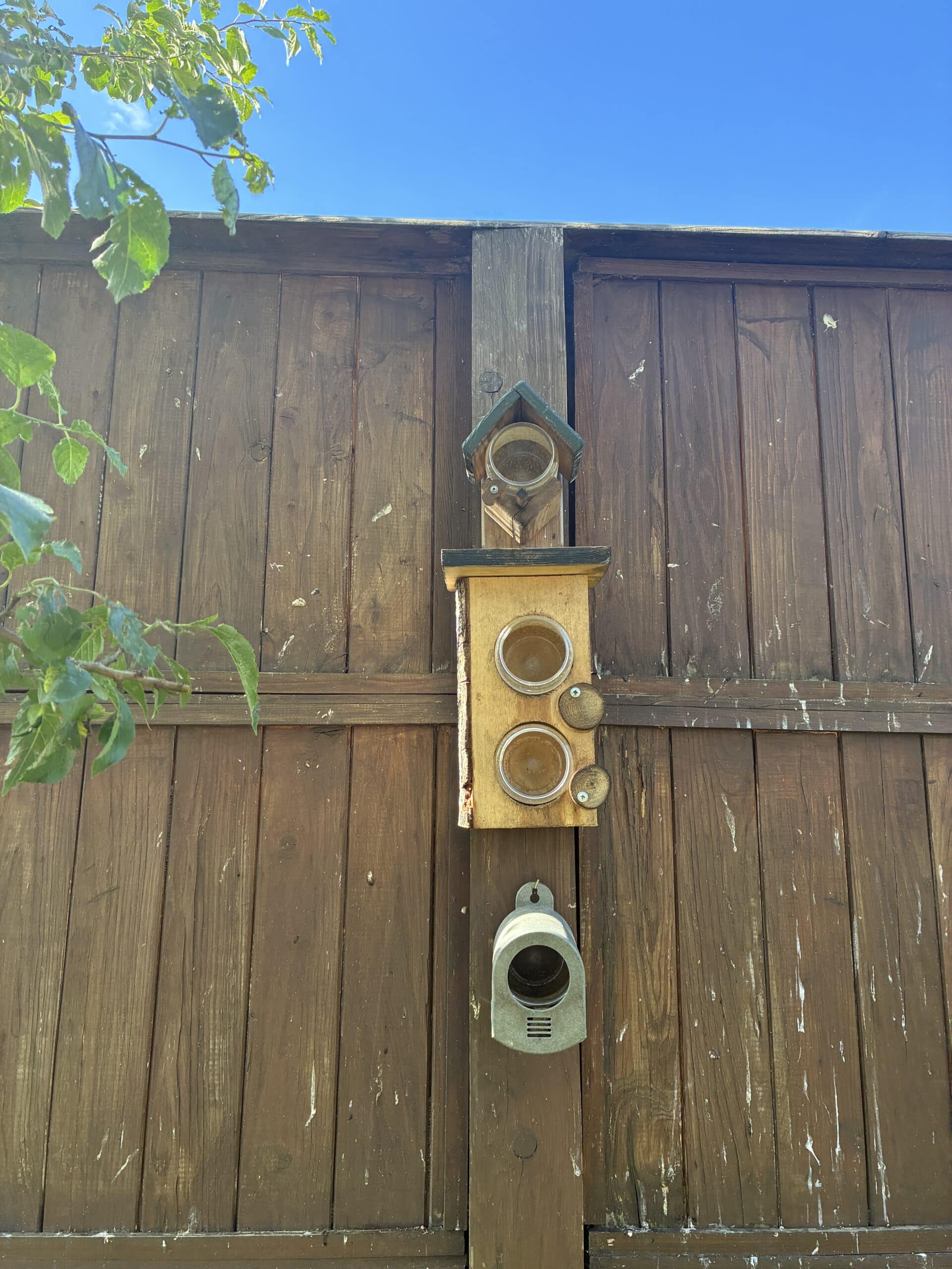 und meine Vogelfutterstationen, die im Schnitt alle 48 h derzeit überprüft und teilweise nachgefüllt werden müssen. Wir haben viele Maisen und Spatzen gerade.