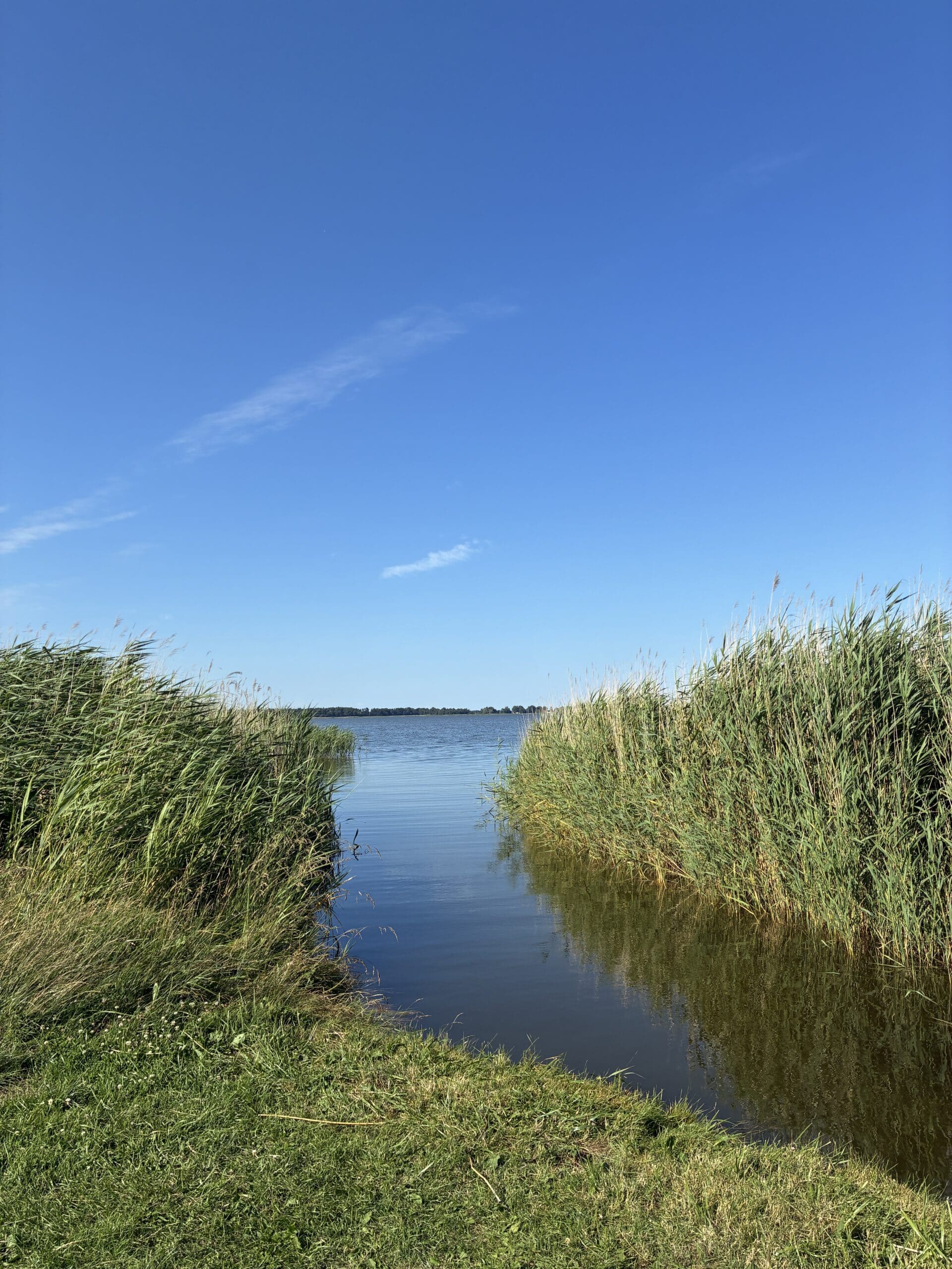 #9 Wir fahren dann noch an den Bodden baden. Diese Stellen sind meist sehr leer (deswegen sind wir heute auch nicht zum Meer gefahren, Sonntags ist das einfach zu krass).