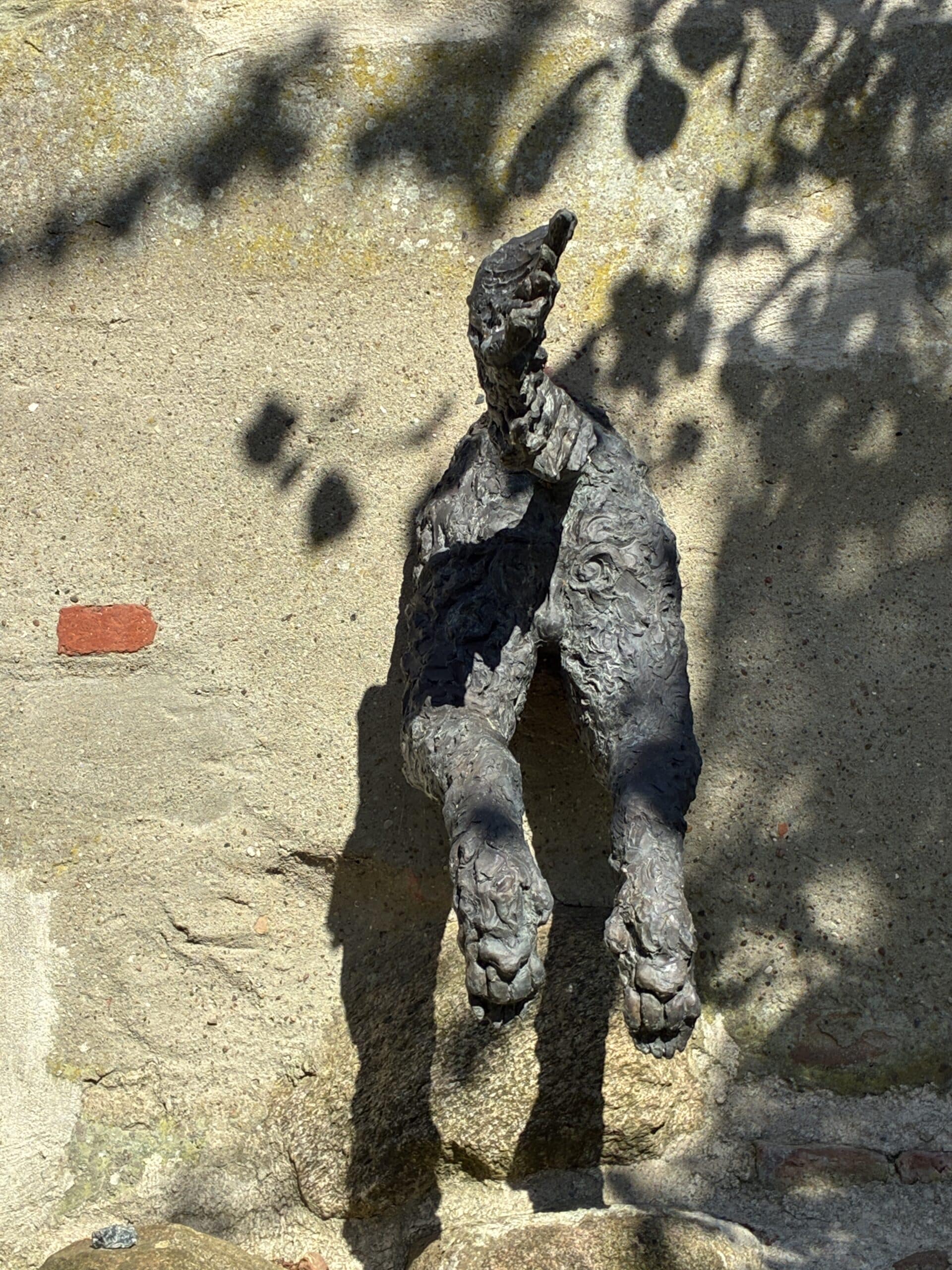#8 Nach huch, ein Hundehintern in Barth. Schon witzig, die Stadt versucht echt einiges um Touristen zu "locken"