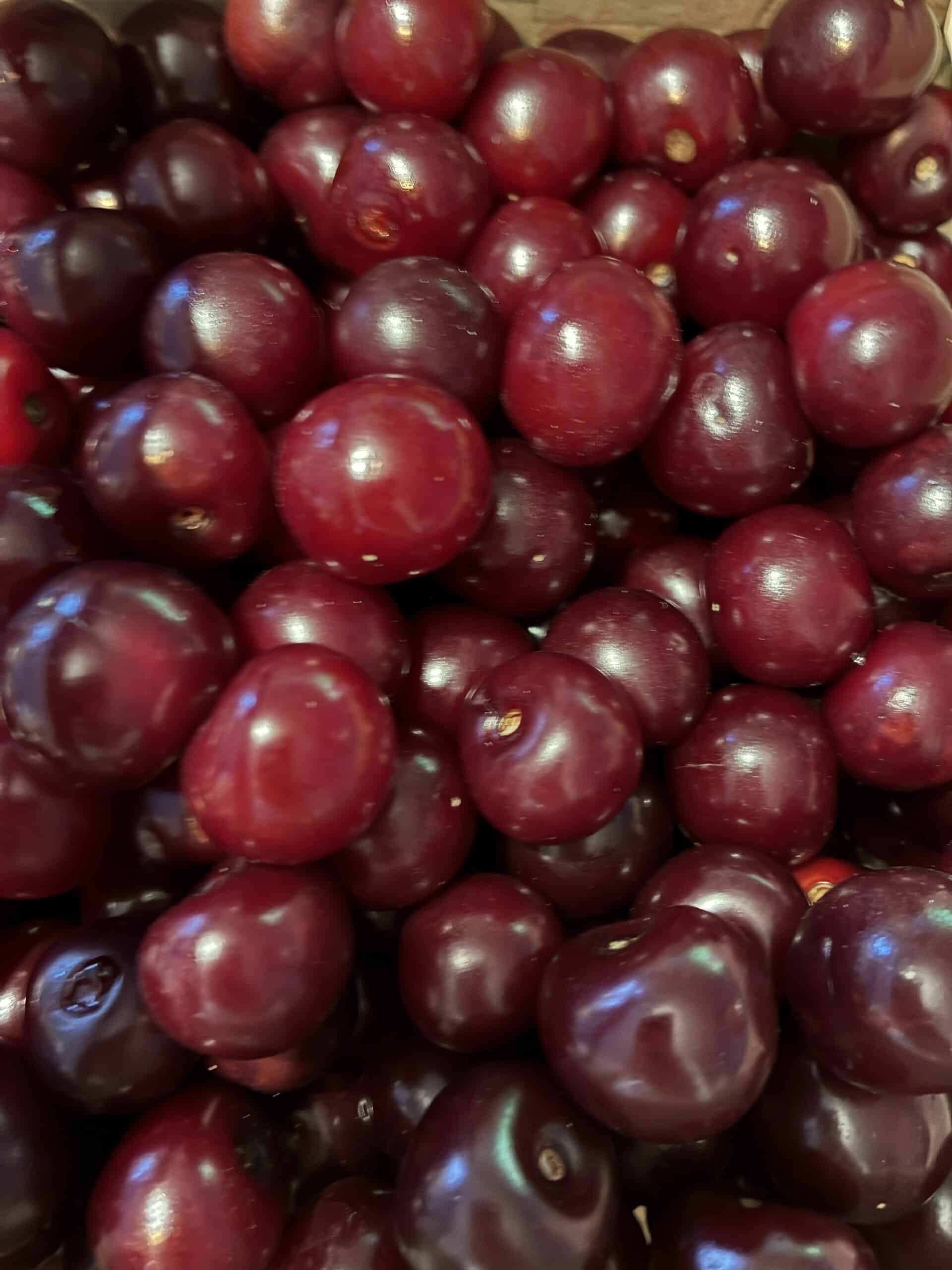 Als der Rest der Familie aufgestanden ist kochen wir dann noch Marmelade ein, aus einem Kilo Kirschen. Das kommt immer gut, ist aber ne ordentliche Sauerei.