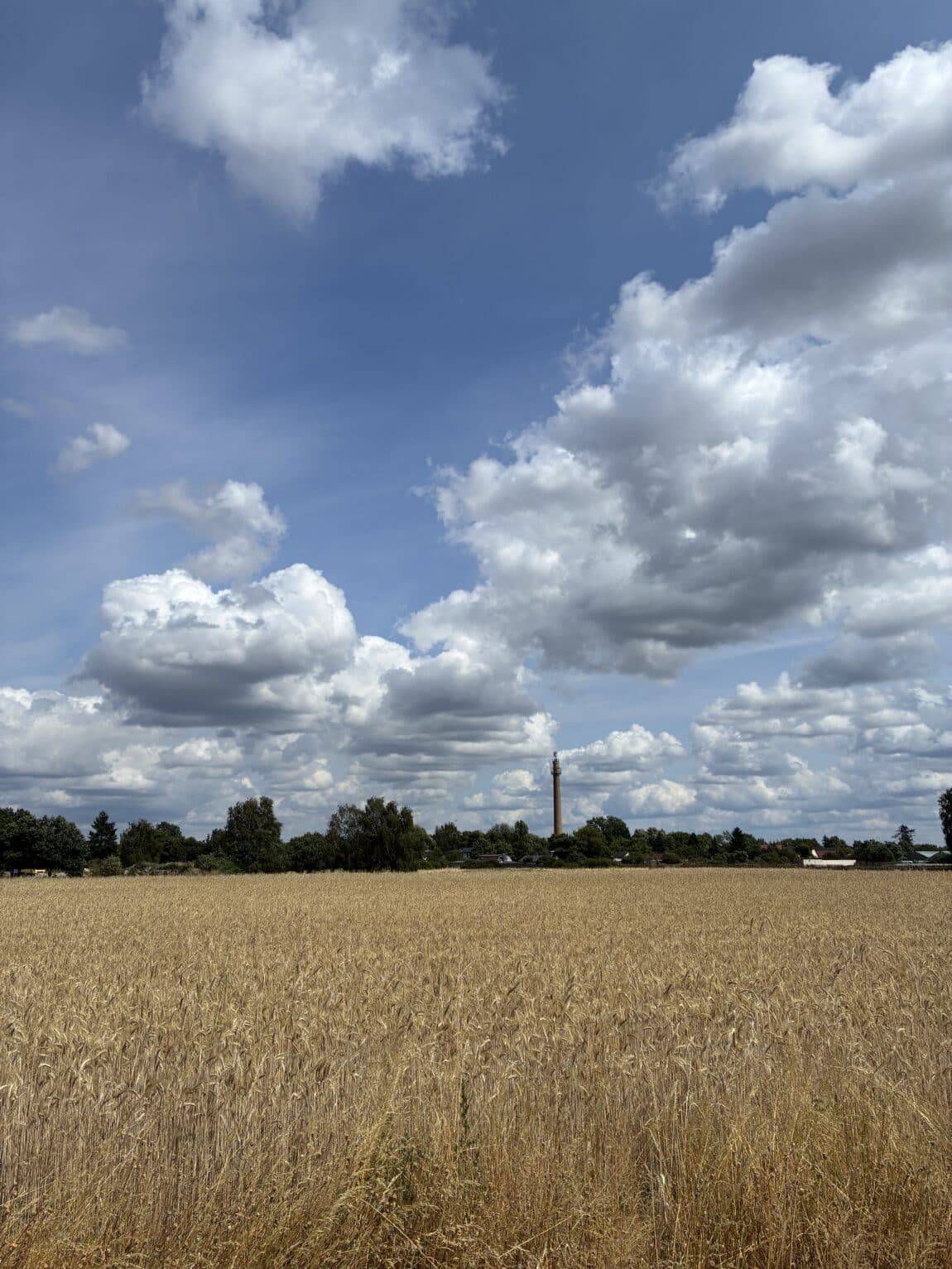 Es fühlt sich schon sehr nach Sommer an.