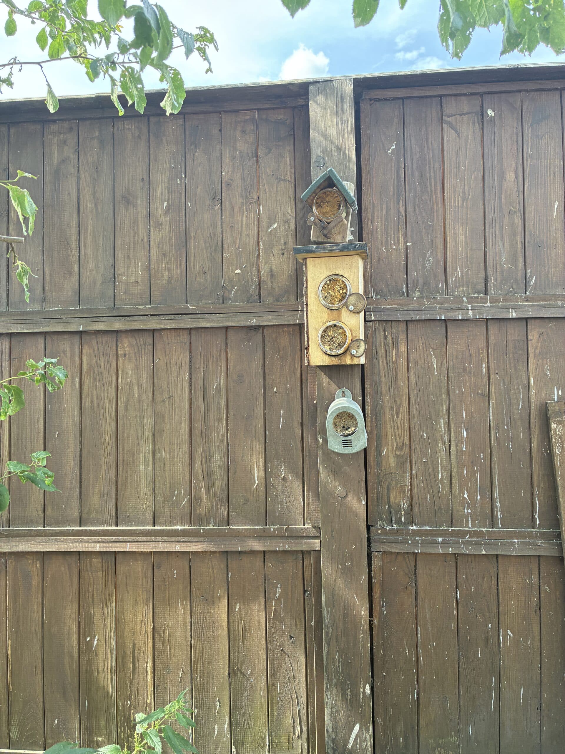 Ich befülle auch die Vogelstationen wieder neu. Viele Maisen kommen jeden Tag zu Besuch.