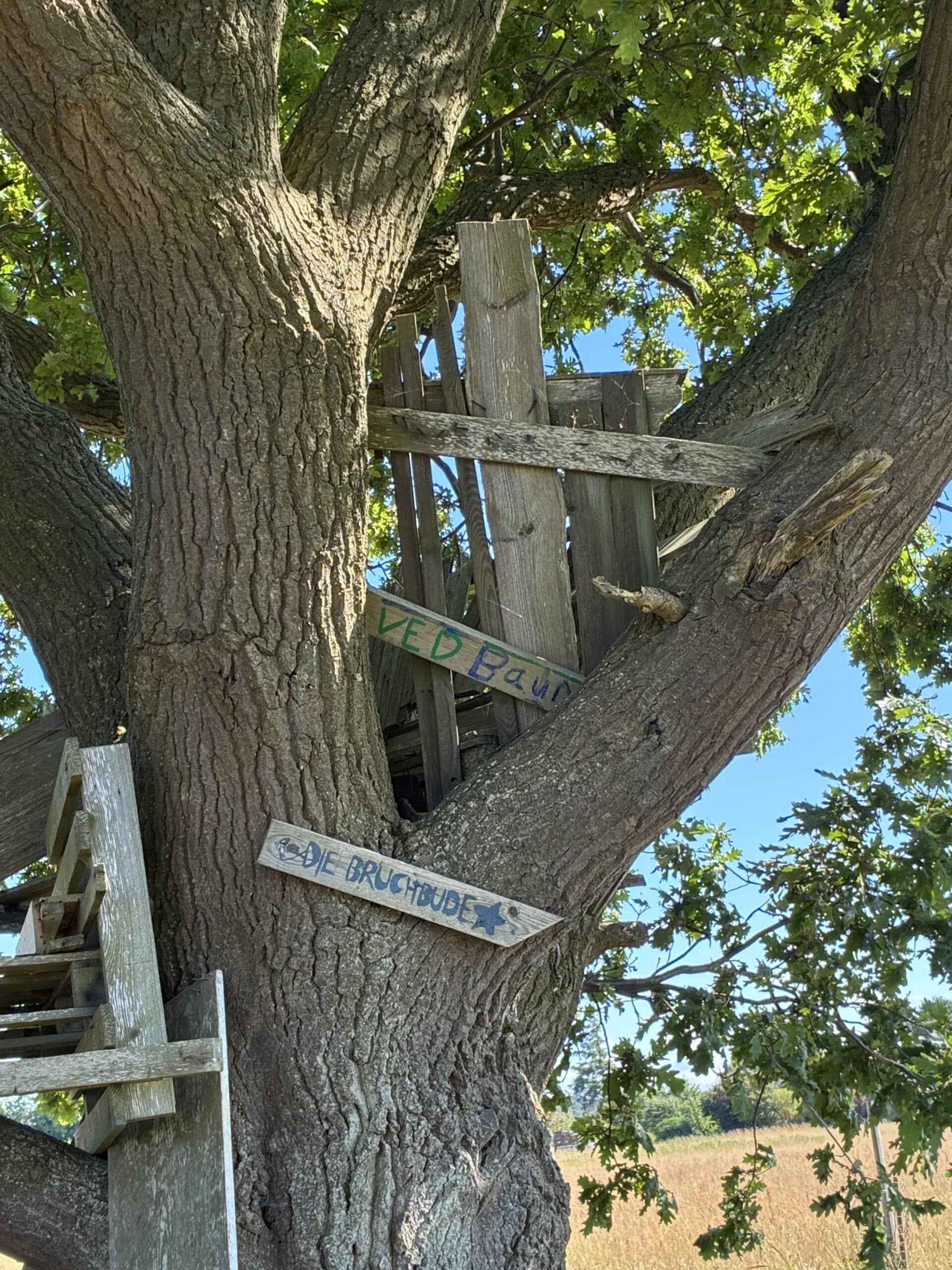 Am Nachmittag dann Besuch am Baumhaus im Dorf. Wird jedes Jahr dran rumgeschraubt, auch von uns.