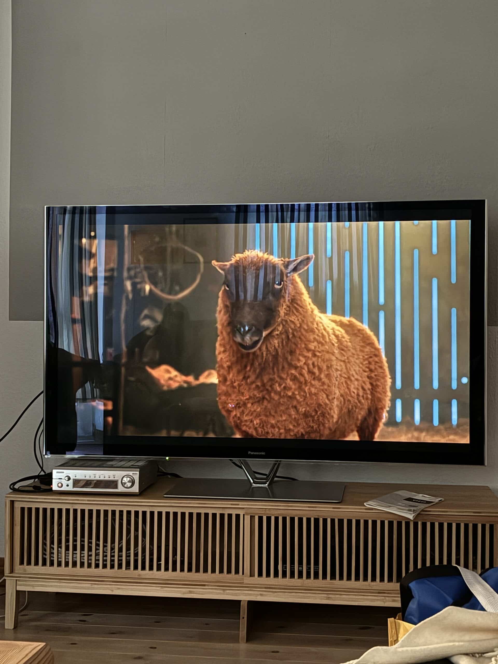 Zum Abend hin dann Glennkill auf dem Fernseher. Das Buch mochte ich gern, der Film war auch gut.