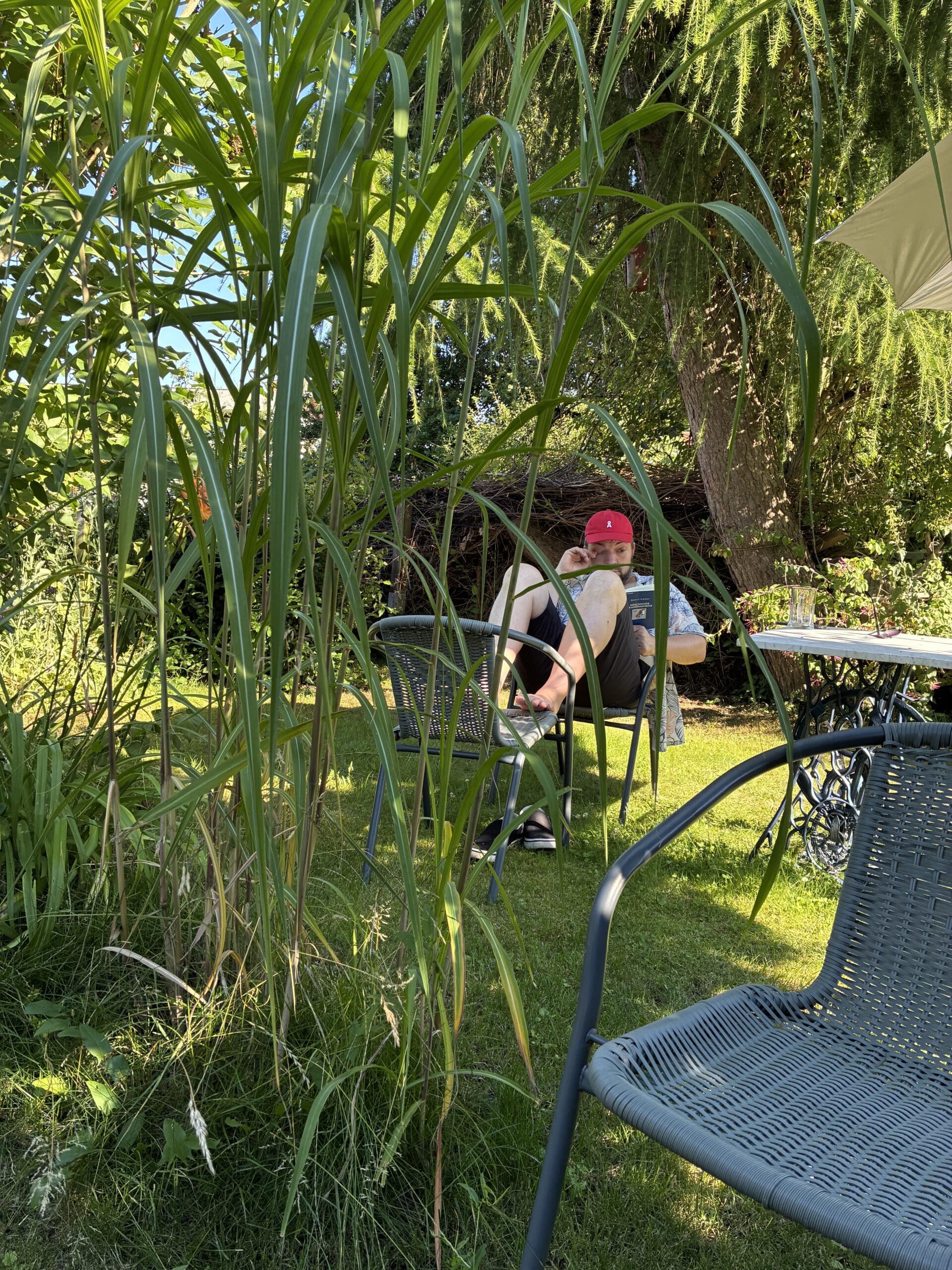 Und Urlaub heißt auch: Lesezeit für alle. Also hängen wir im Garten rum.