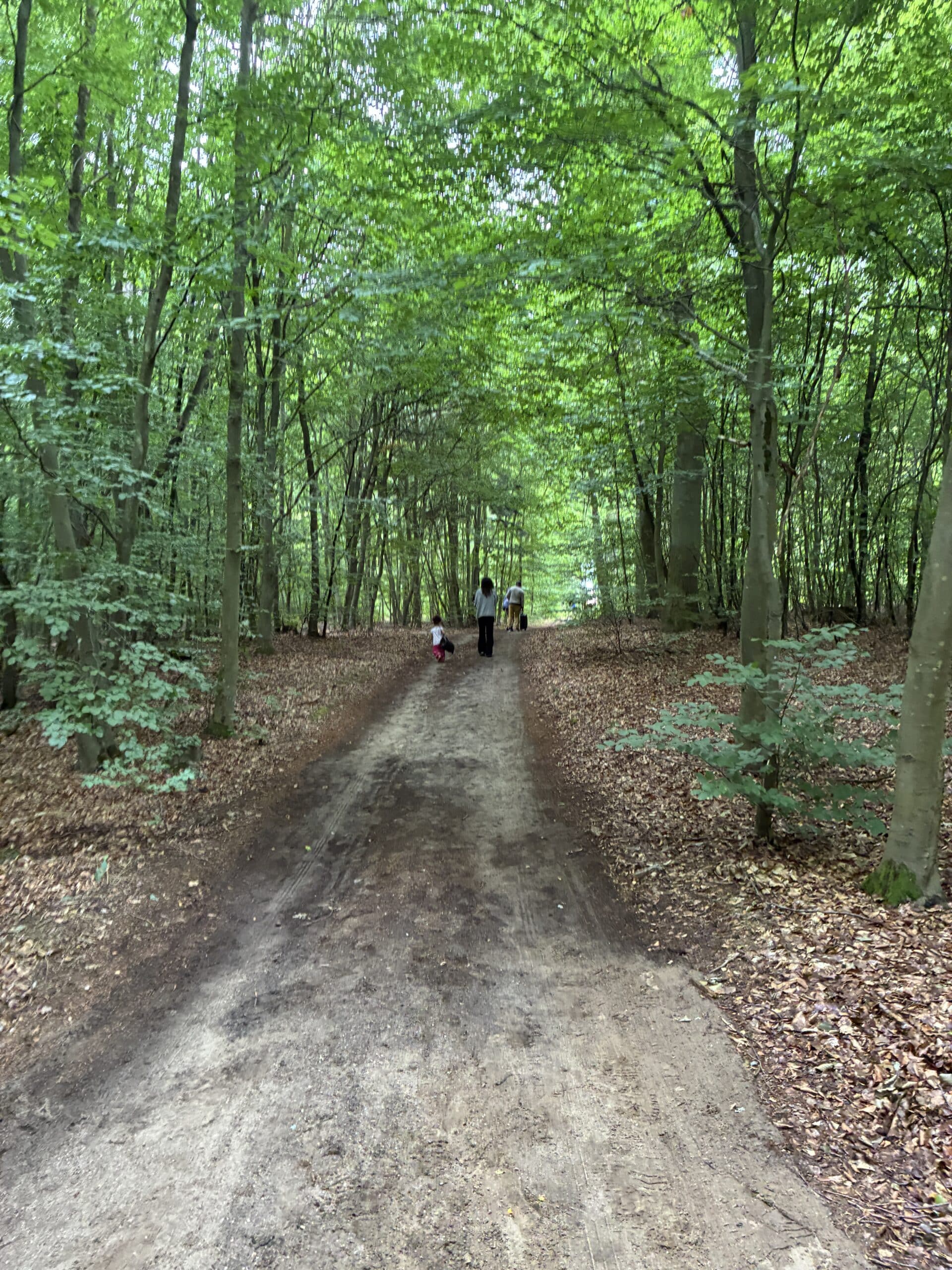 Es riecht so gut und tut gut im Wald zu sein. Ich mag das sehr und schätze diese kleinen Ausflüge.