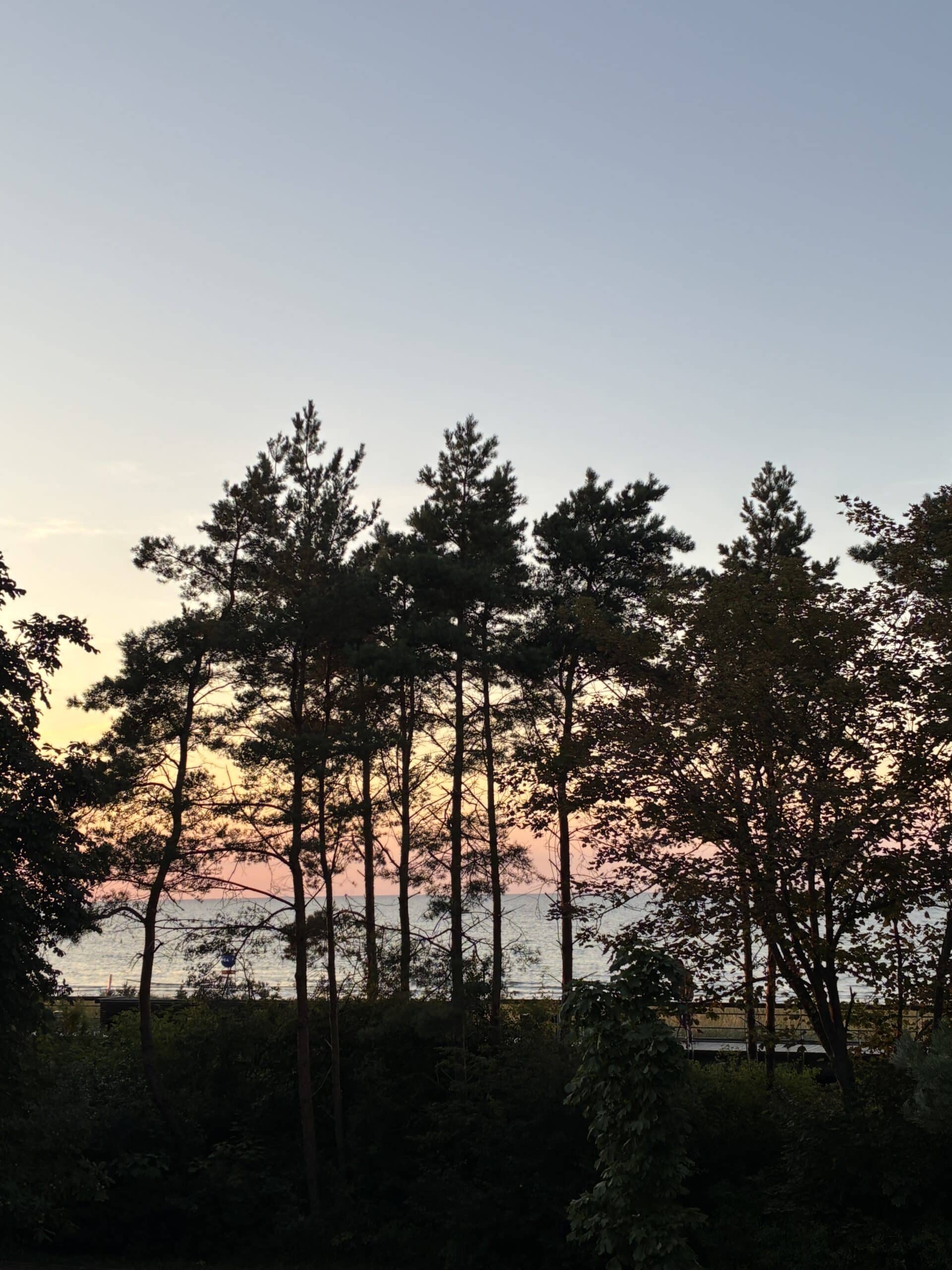 Super Film und zum Glück aber nicht zu spät daheim. Belohnt werden wir mit Sonnenuntergang.