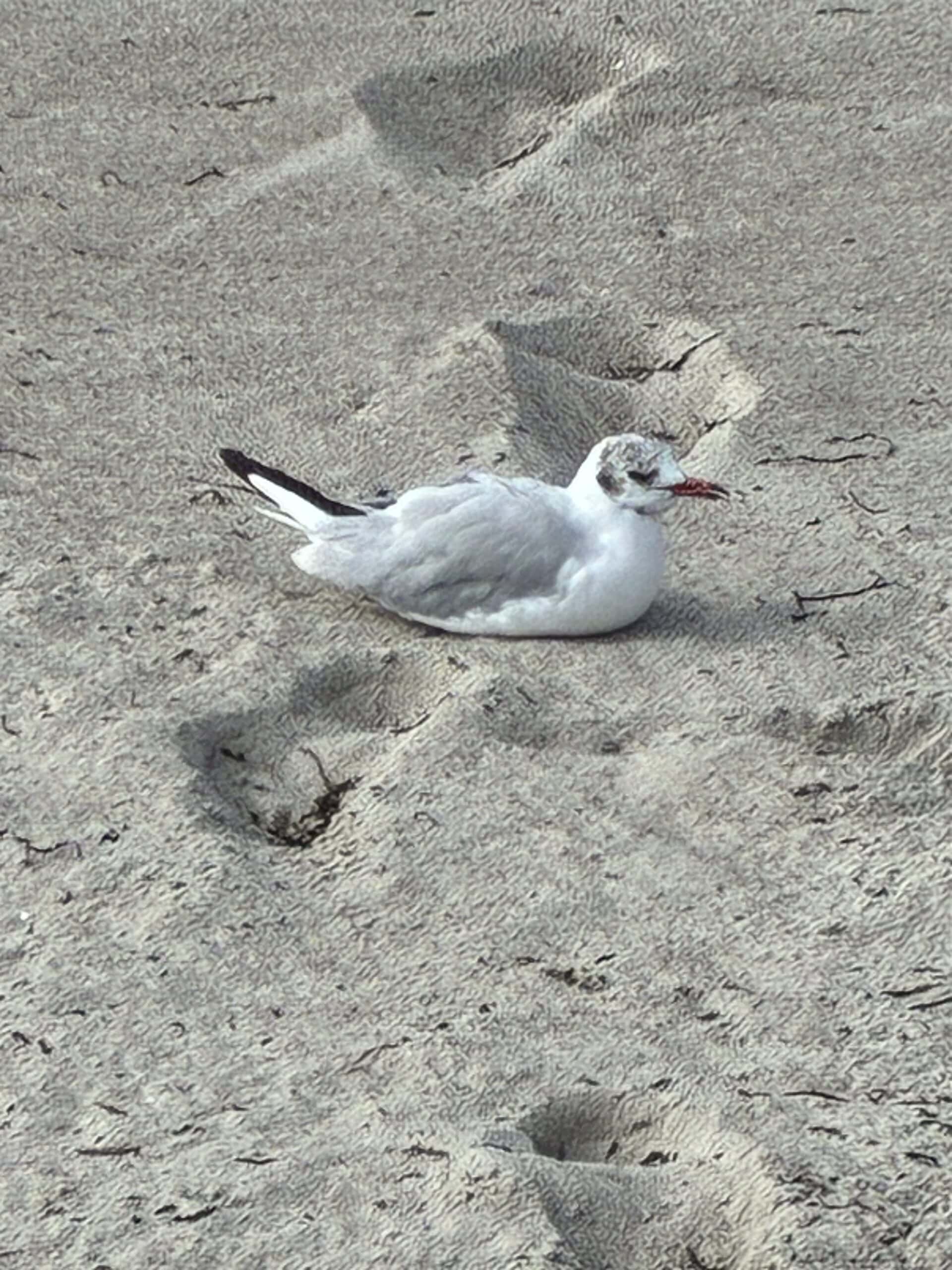 Am Vormittag gehe ich spazieren, während andere am Meer chillen.