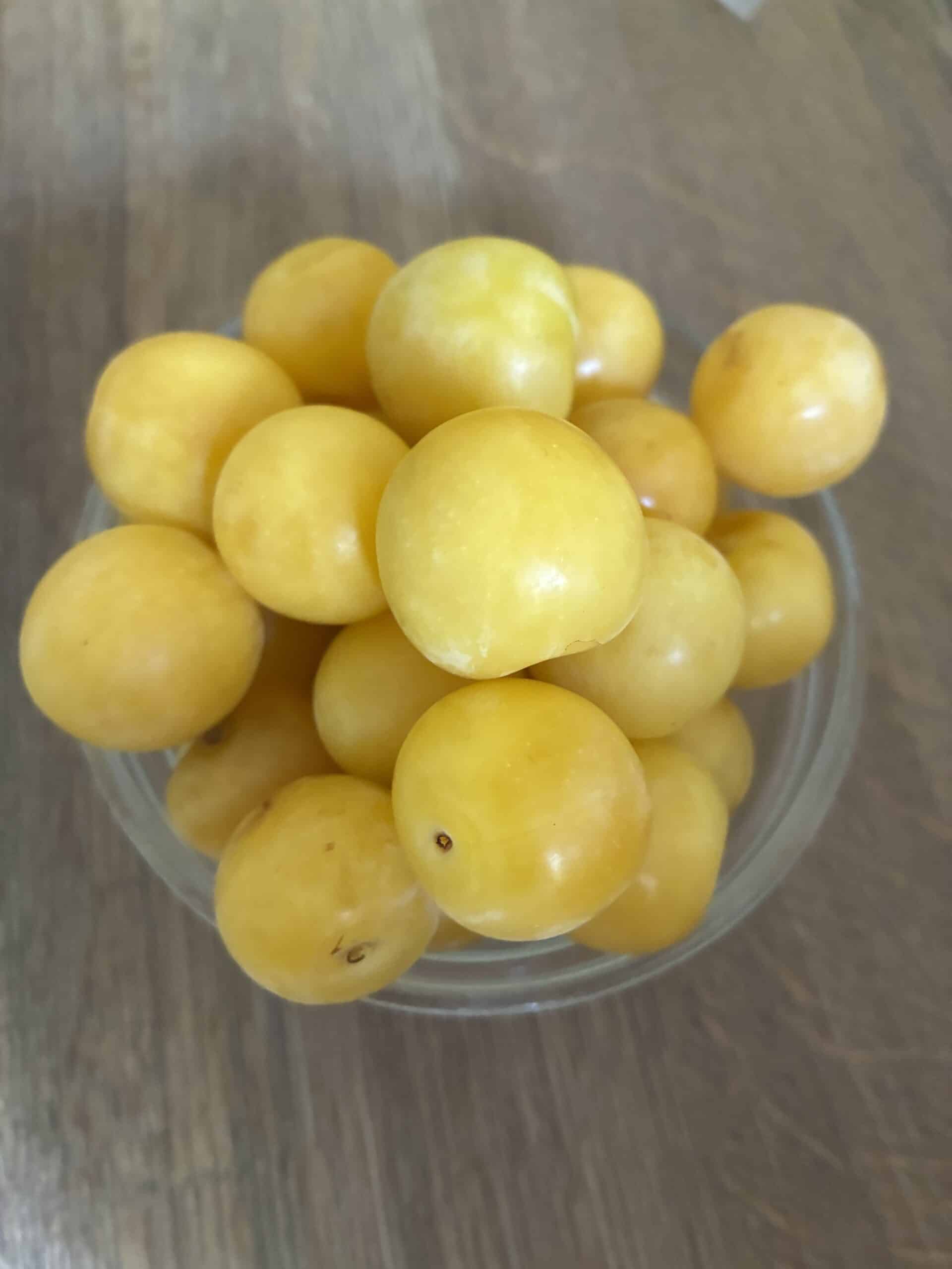 und als Snack: Mirabellen, selbstgepflückt.